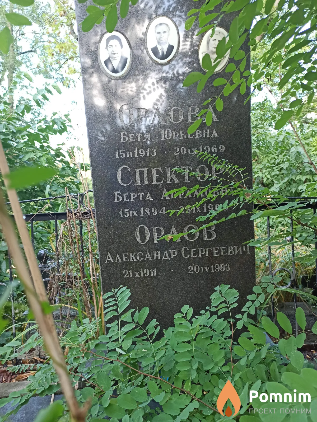 Спектор Берта Абрамовна