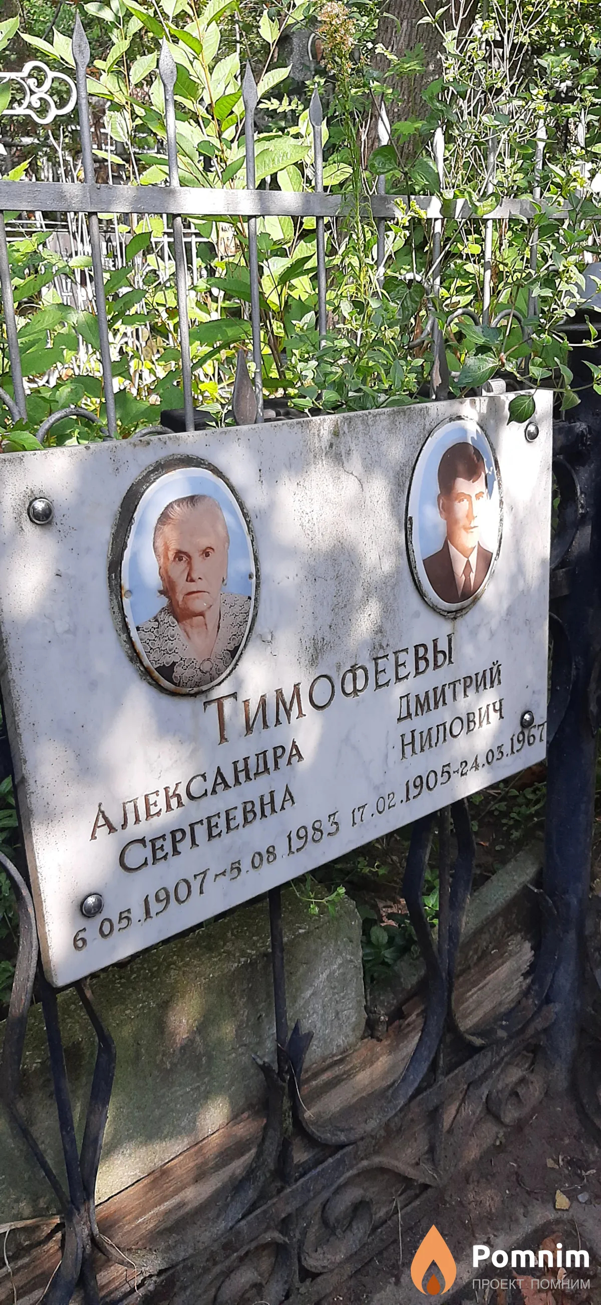 Тимофеева Александра Сергеевна