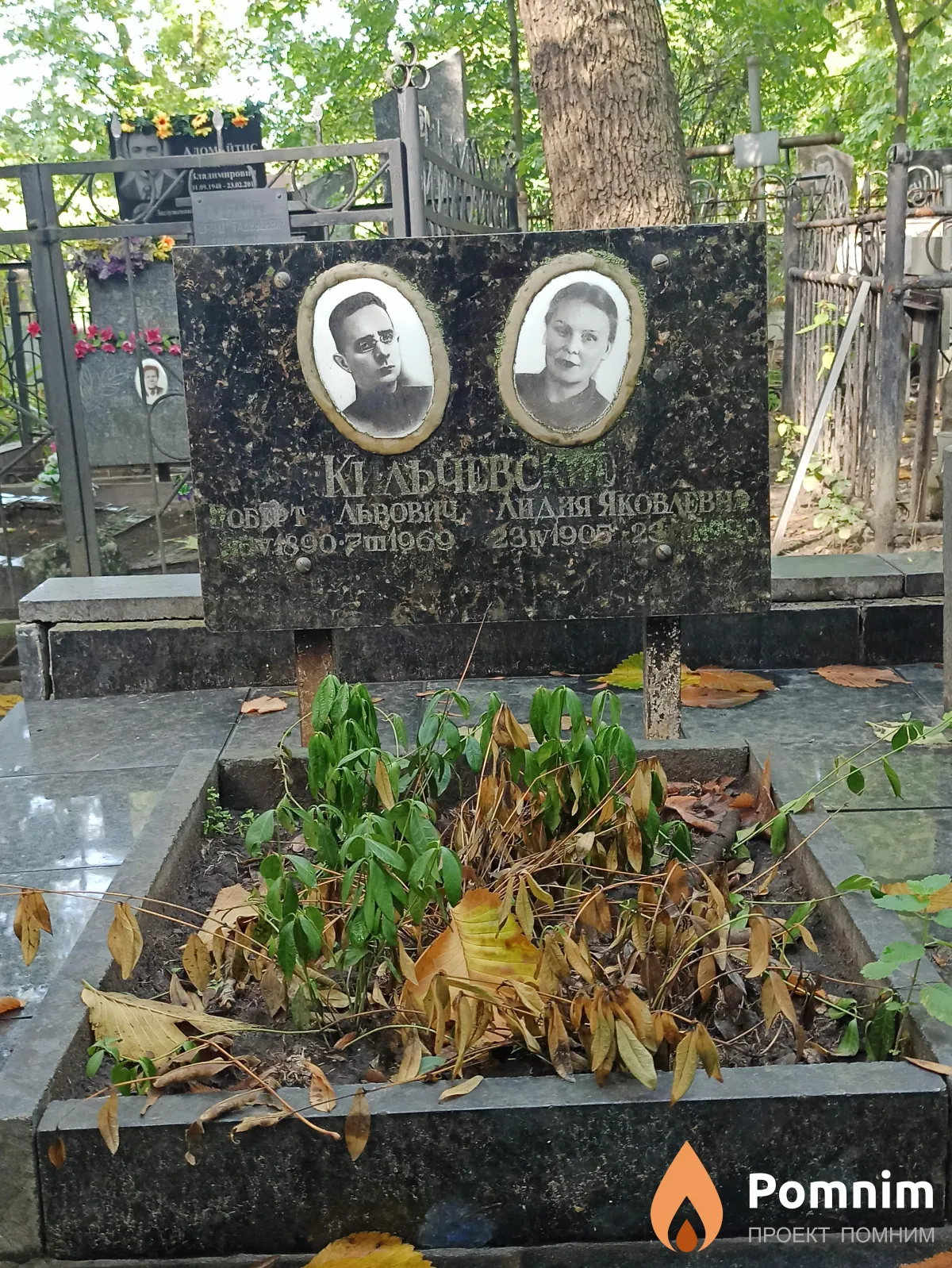 Кильчевский Роберт Львович