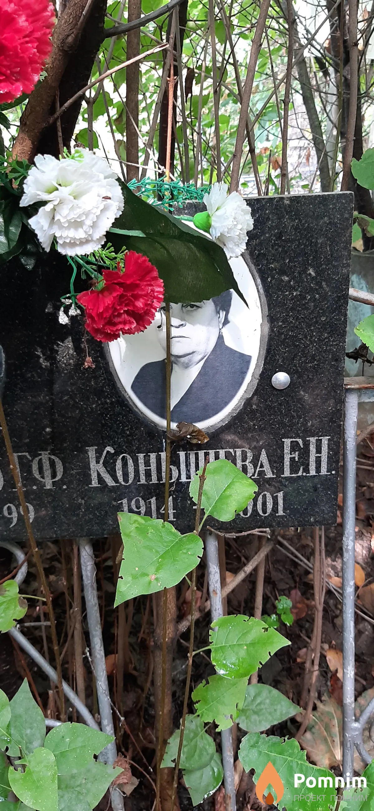 Конышева Е. Н.