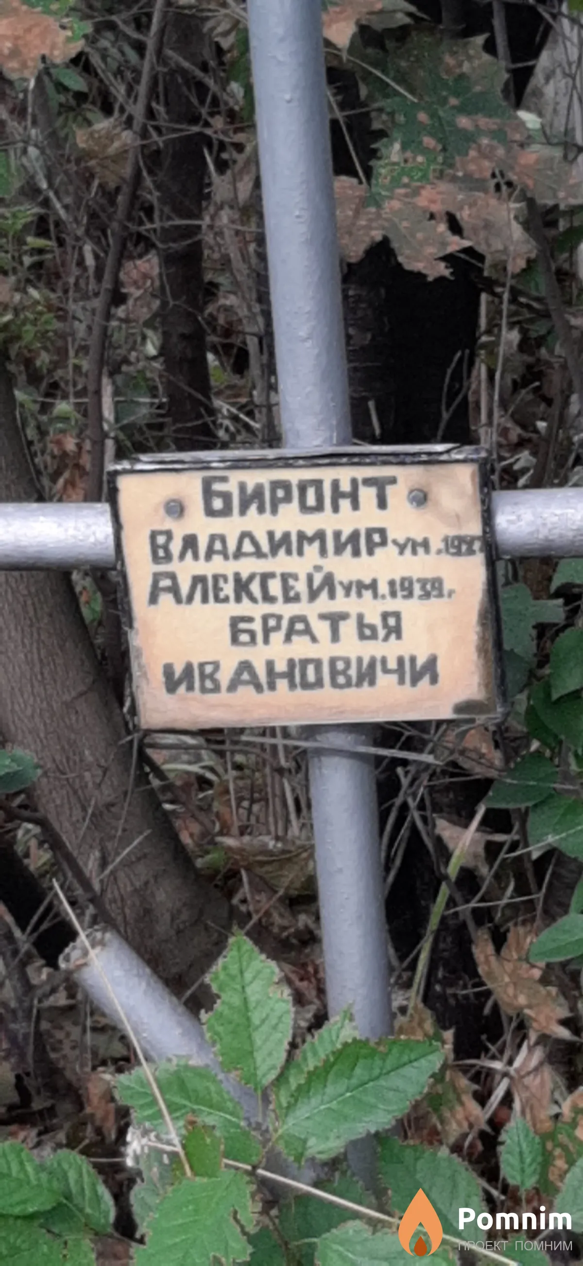Биронт Владимир