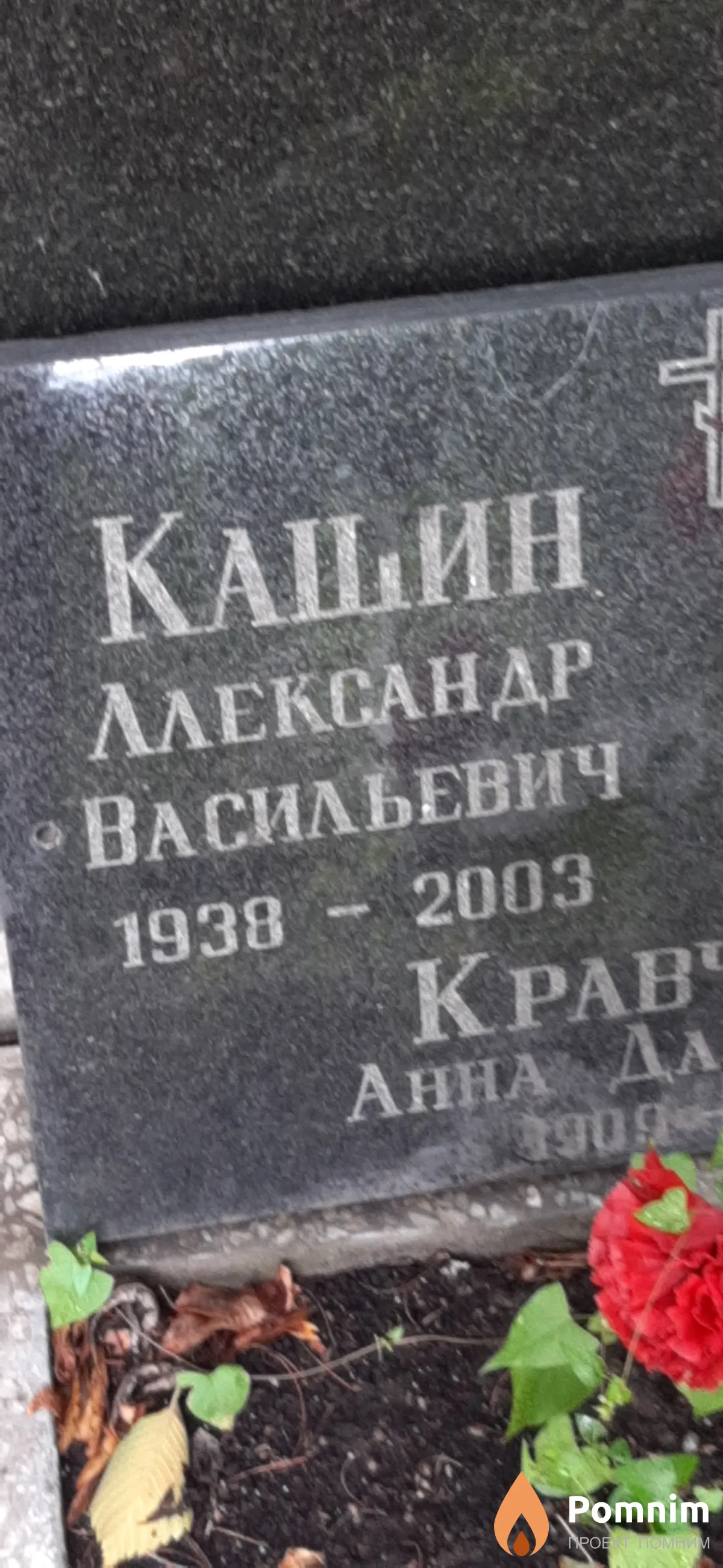 Кашин Александр Васильевич