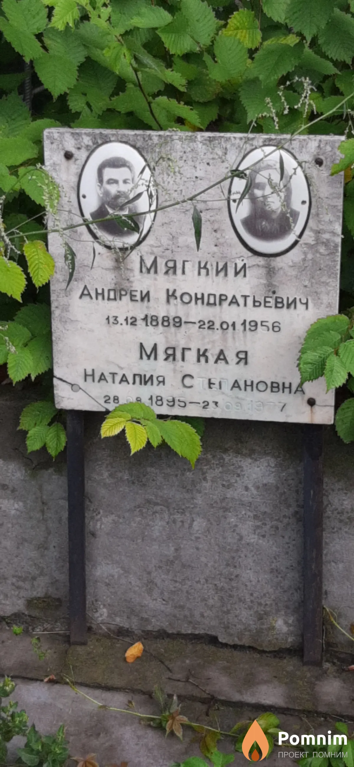 Мягкая Наталия Степановна