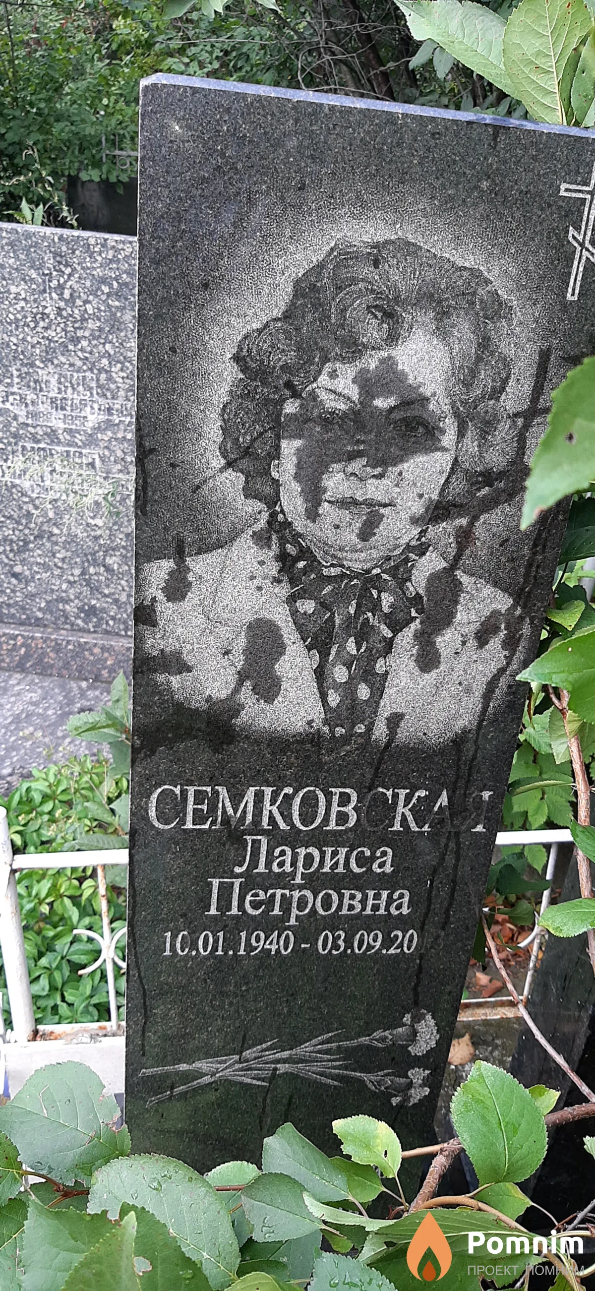 Семковская Лариса Петровна