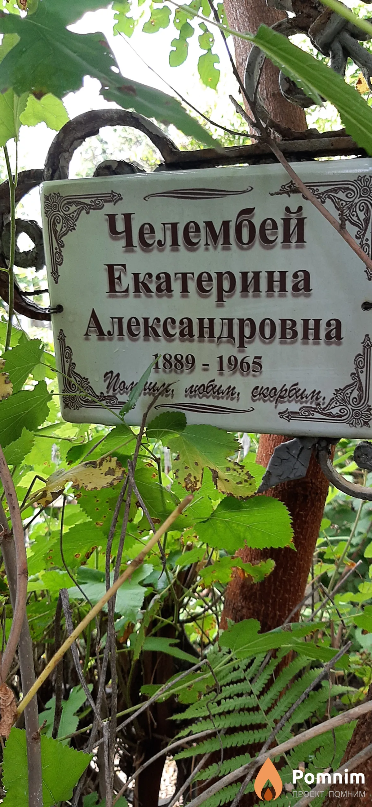 Челембей Екатерина Александровна