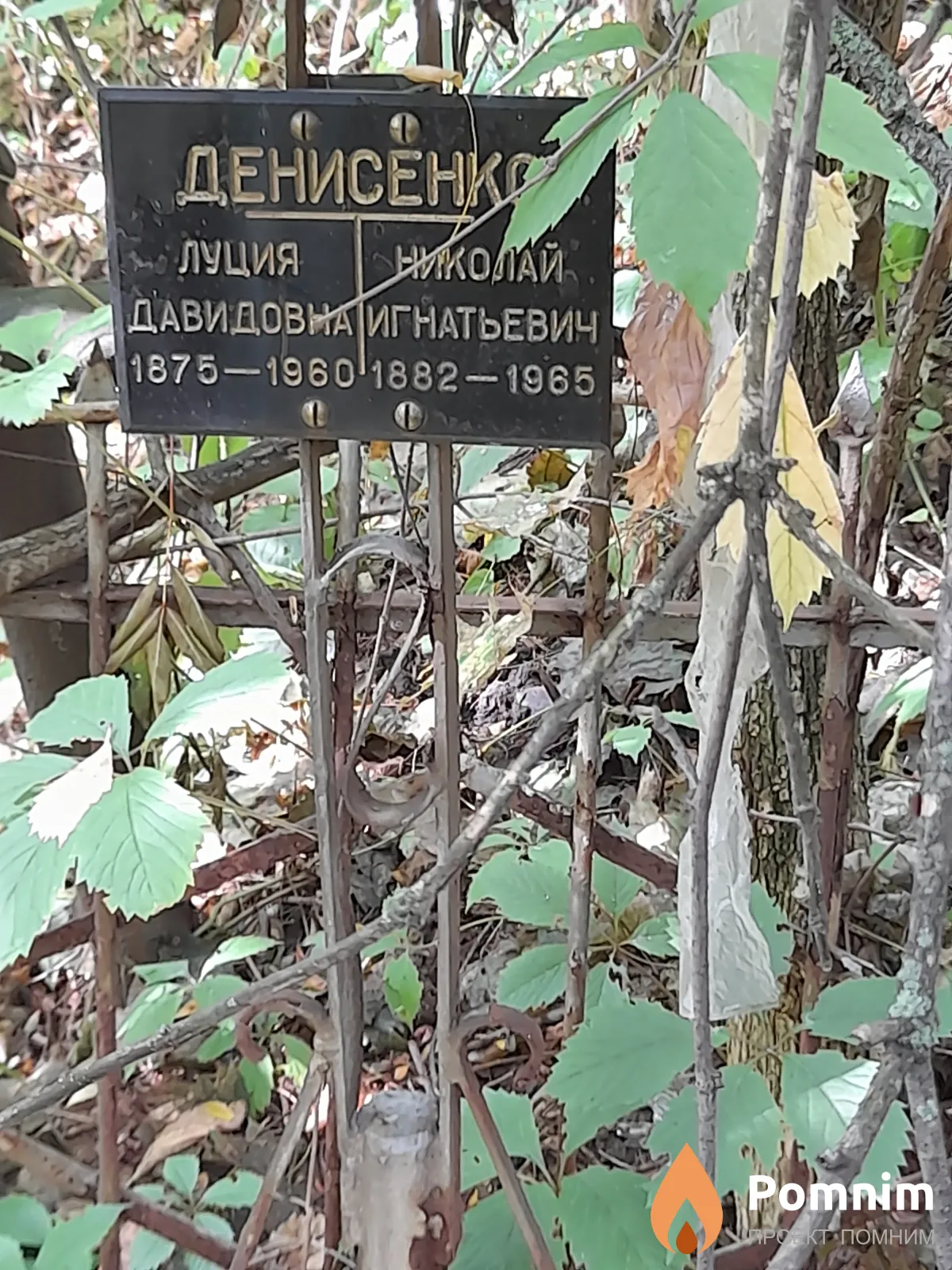 Денисенко Николай Игнатьевич
