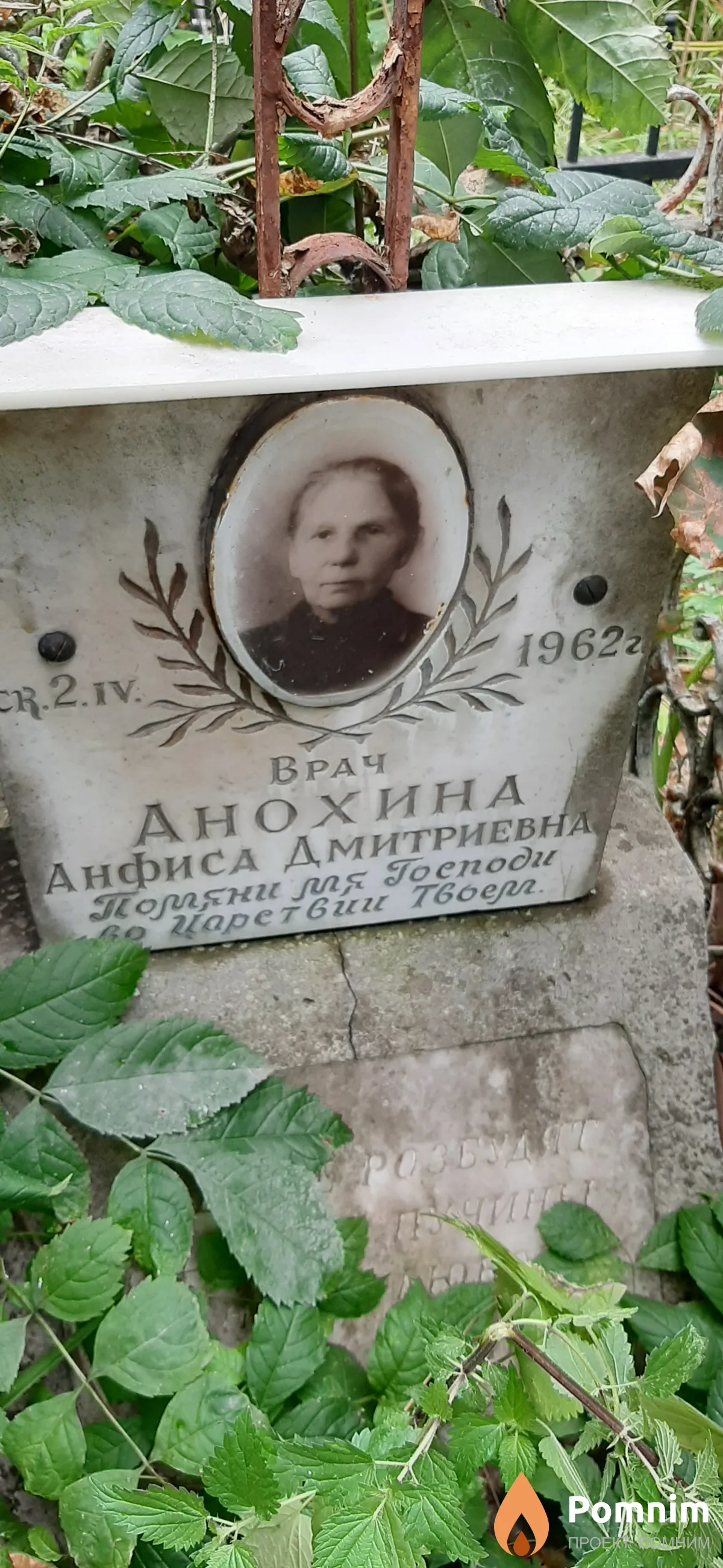 Анохина Анфиса Дмитриевна