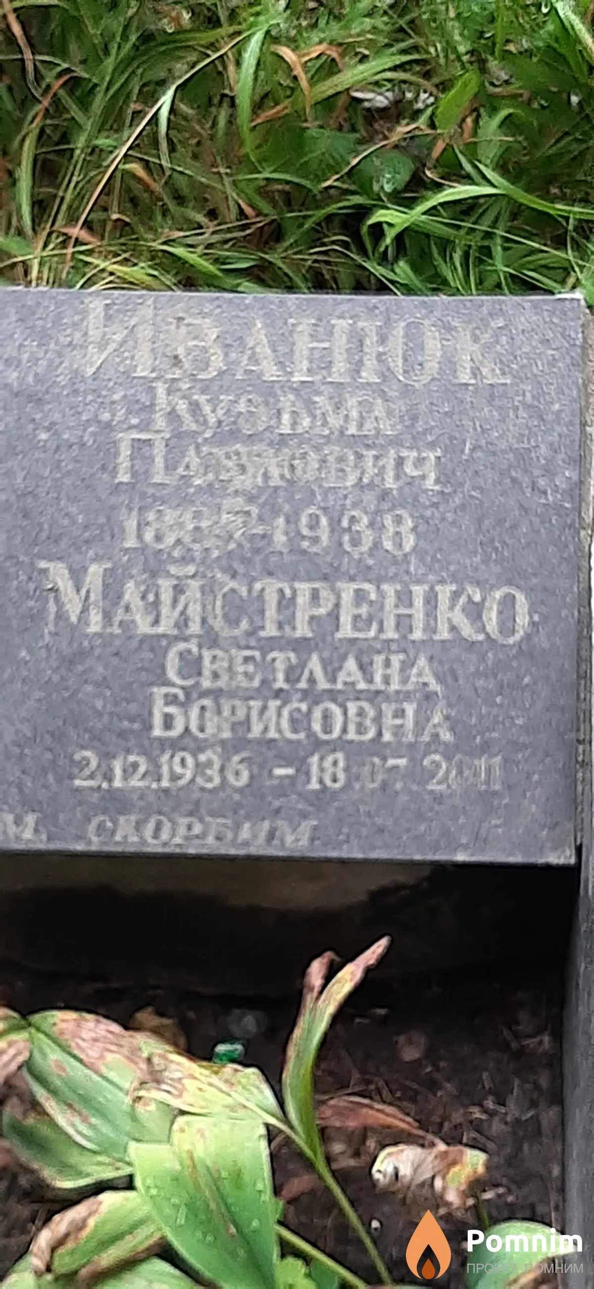 Майстренко Светлана Борисовна
