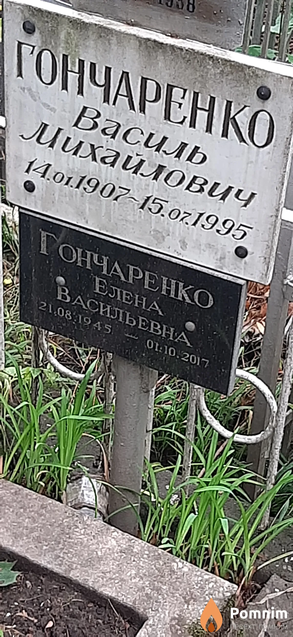 Гончаренко Елена Васильевна