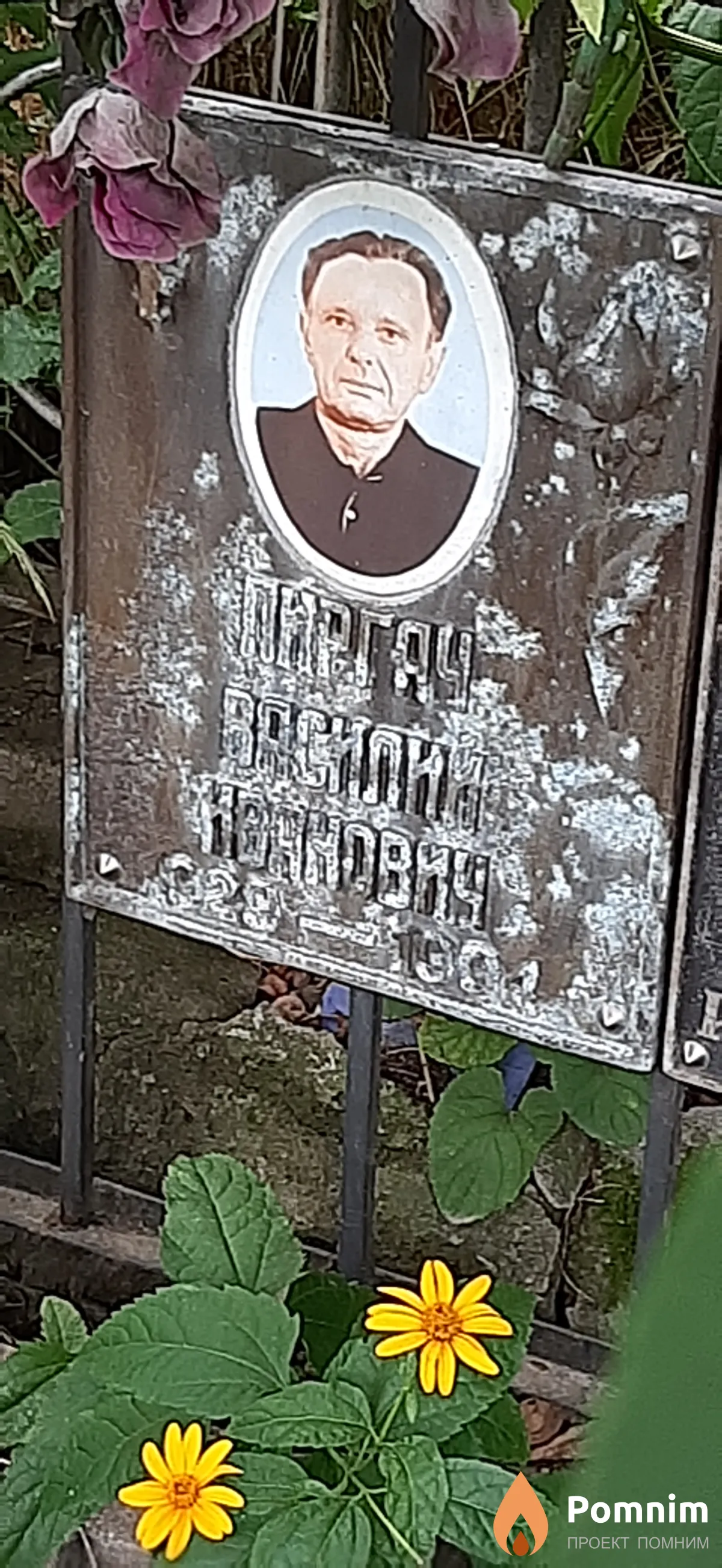 Пиргач Василий Иванович
