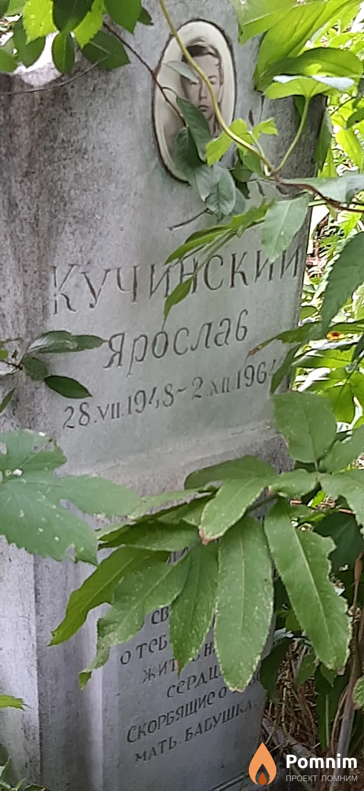 Кучинский Ярослав
