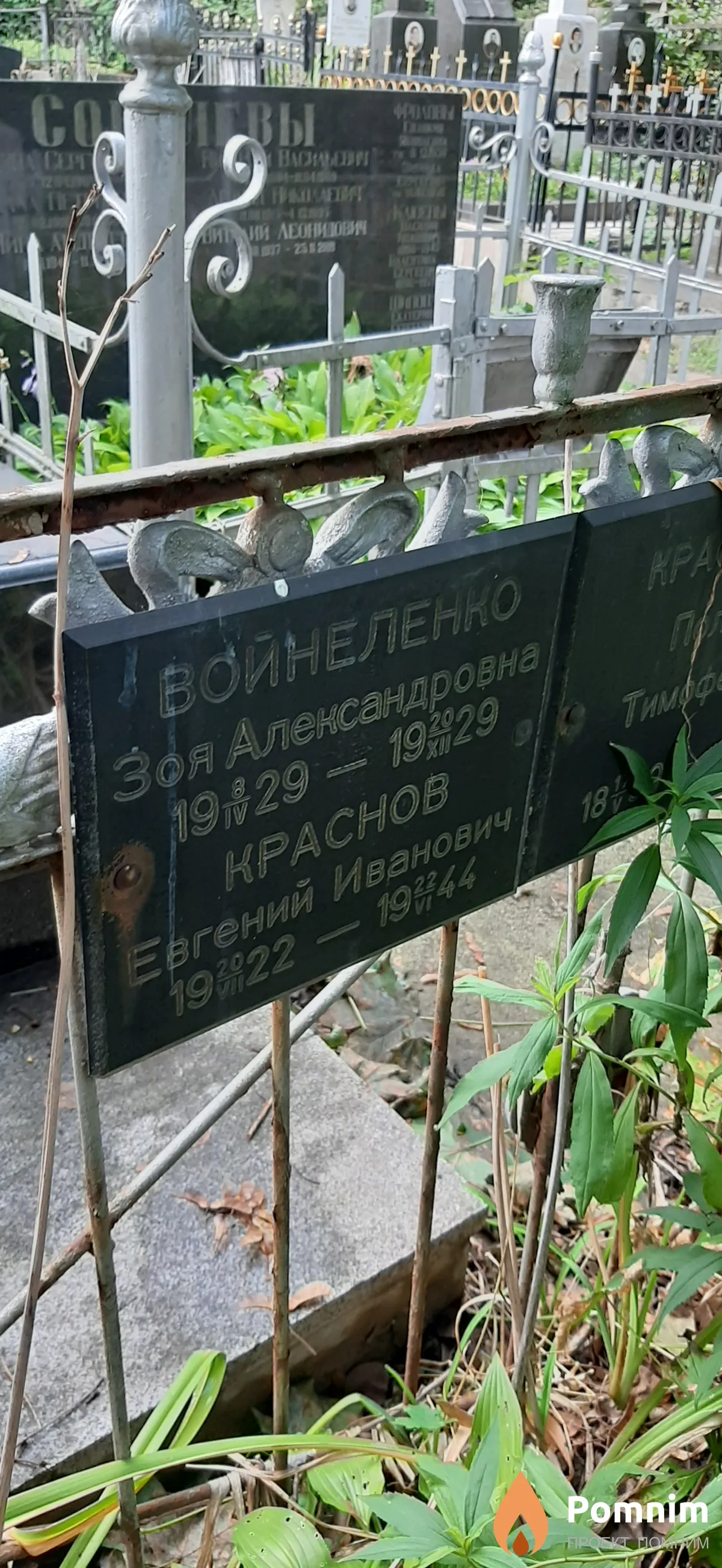 Войнеленко Зоя Александровна