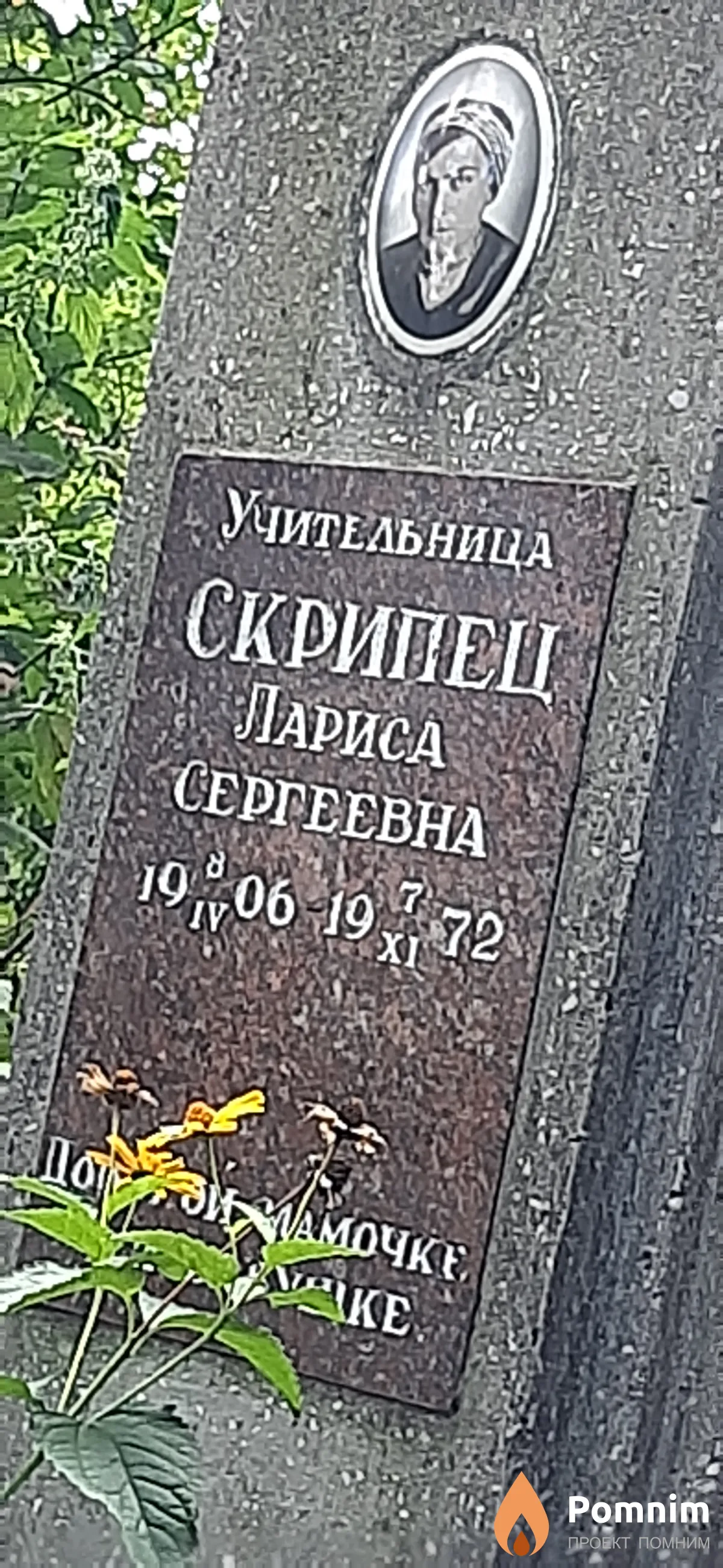 Скрипец Лариса Сергеевна