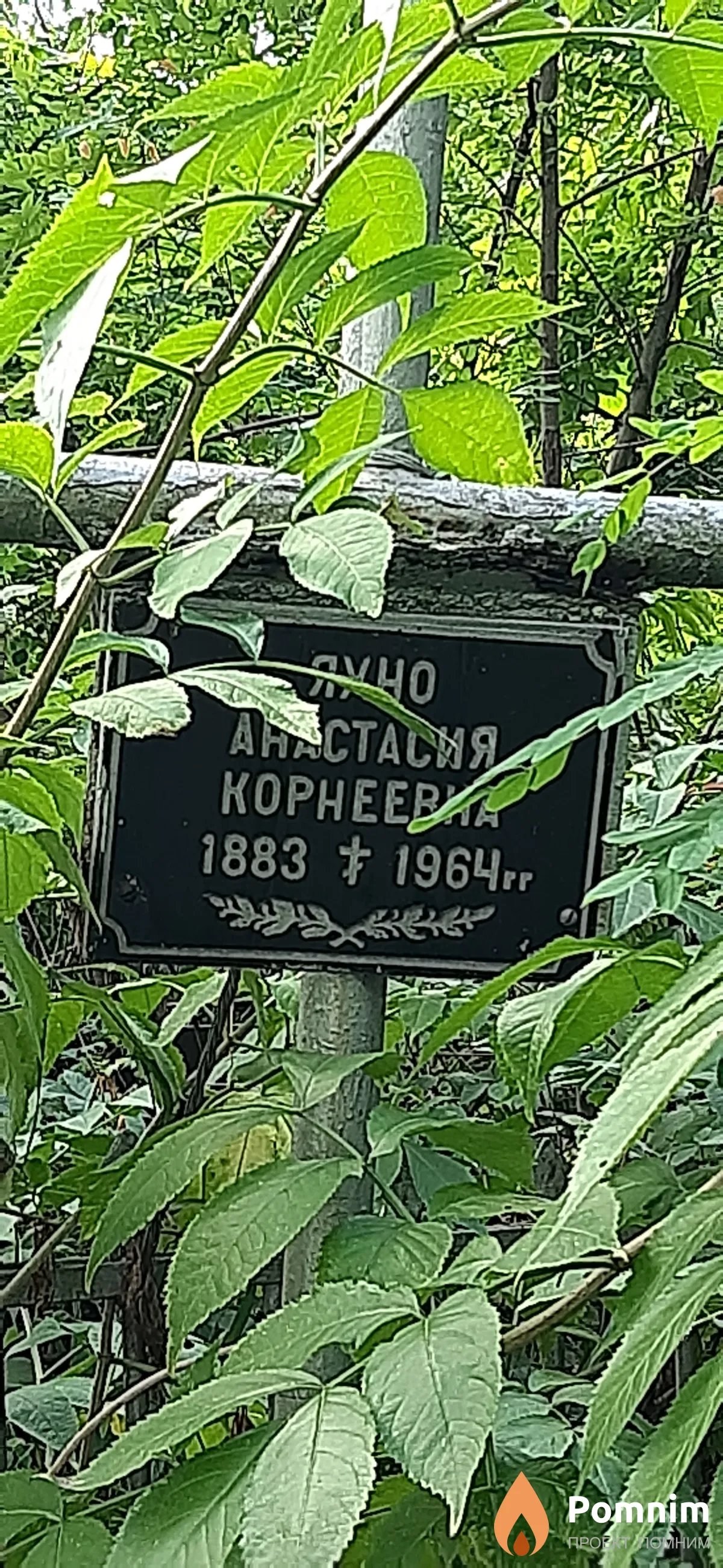Яхно Анастасия Корнеевна