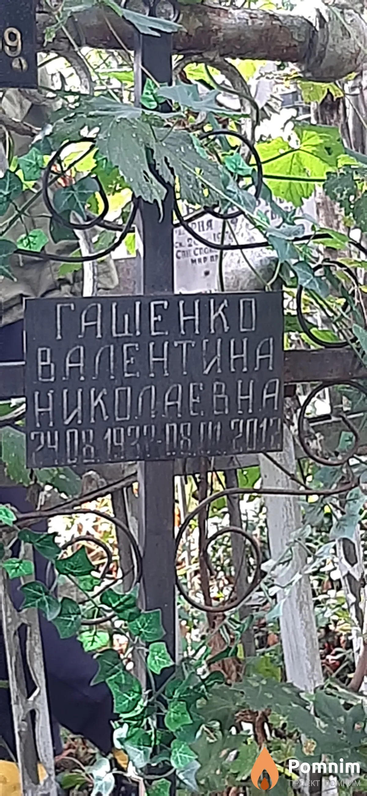 Гашенко Валентина Николаевна