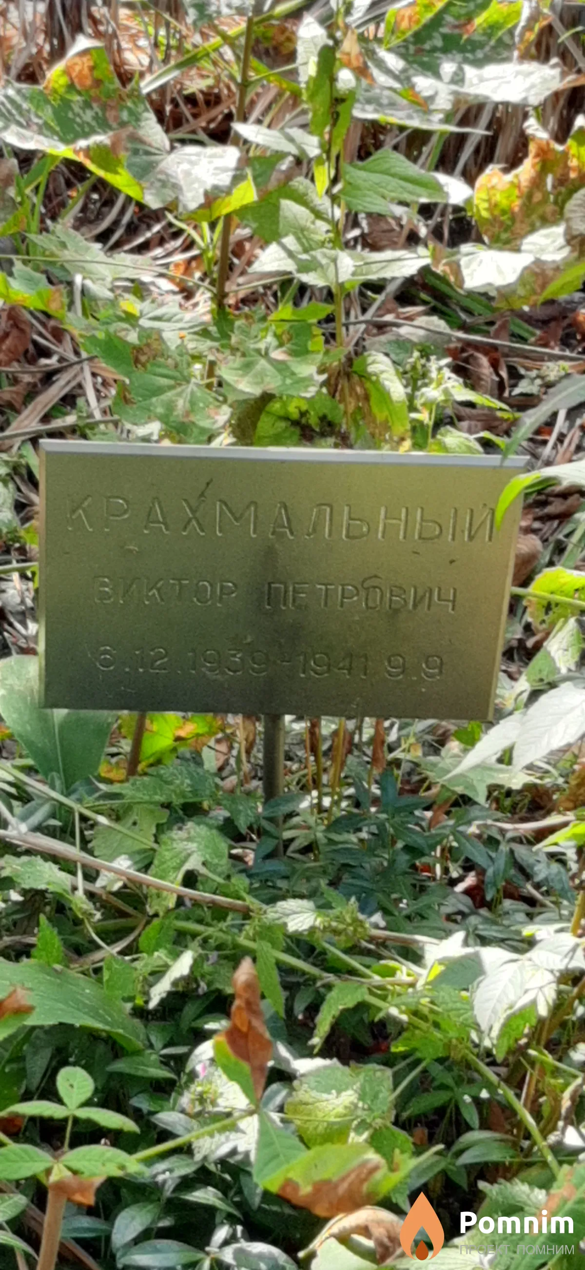Крахмальный Виктор Петрович