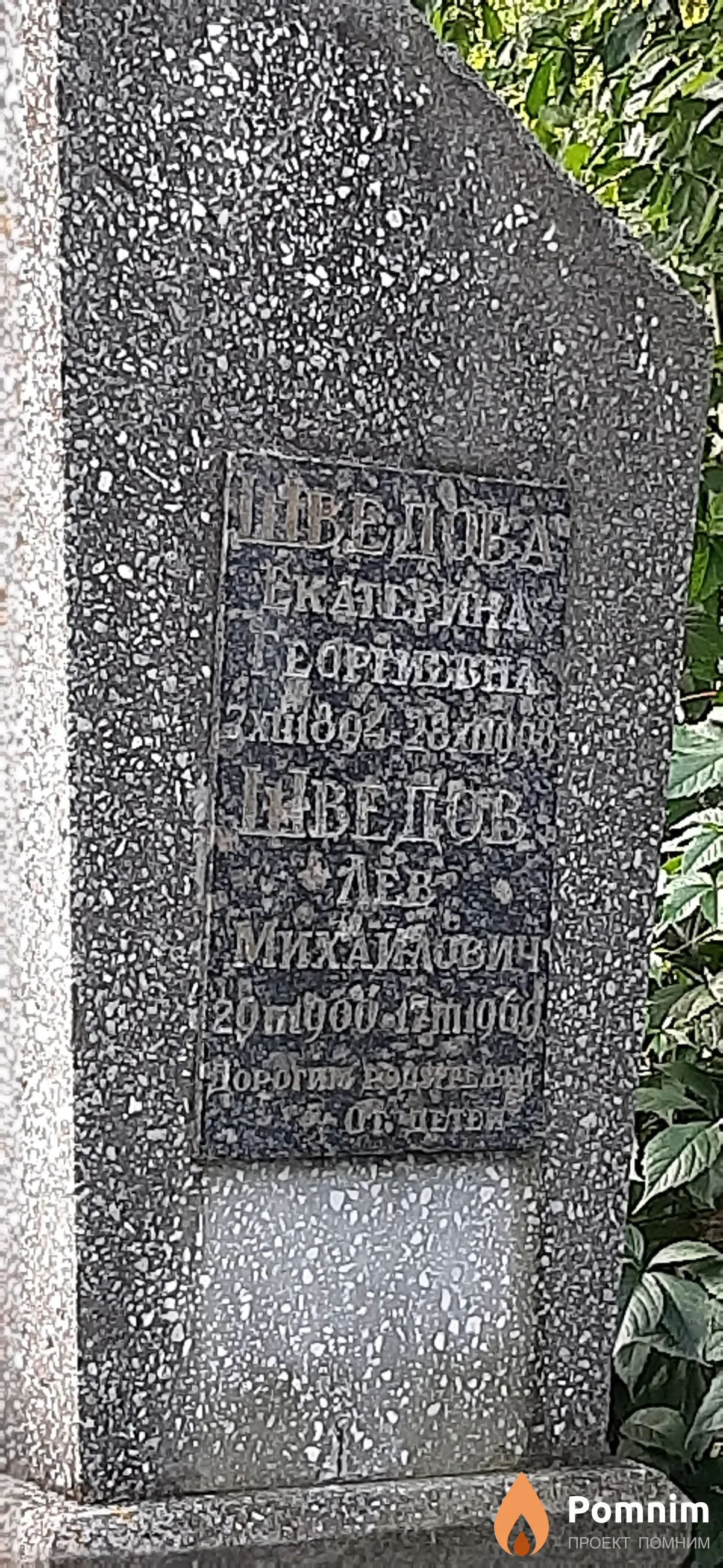 Шведова Екатерина Георгиевна