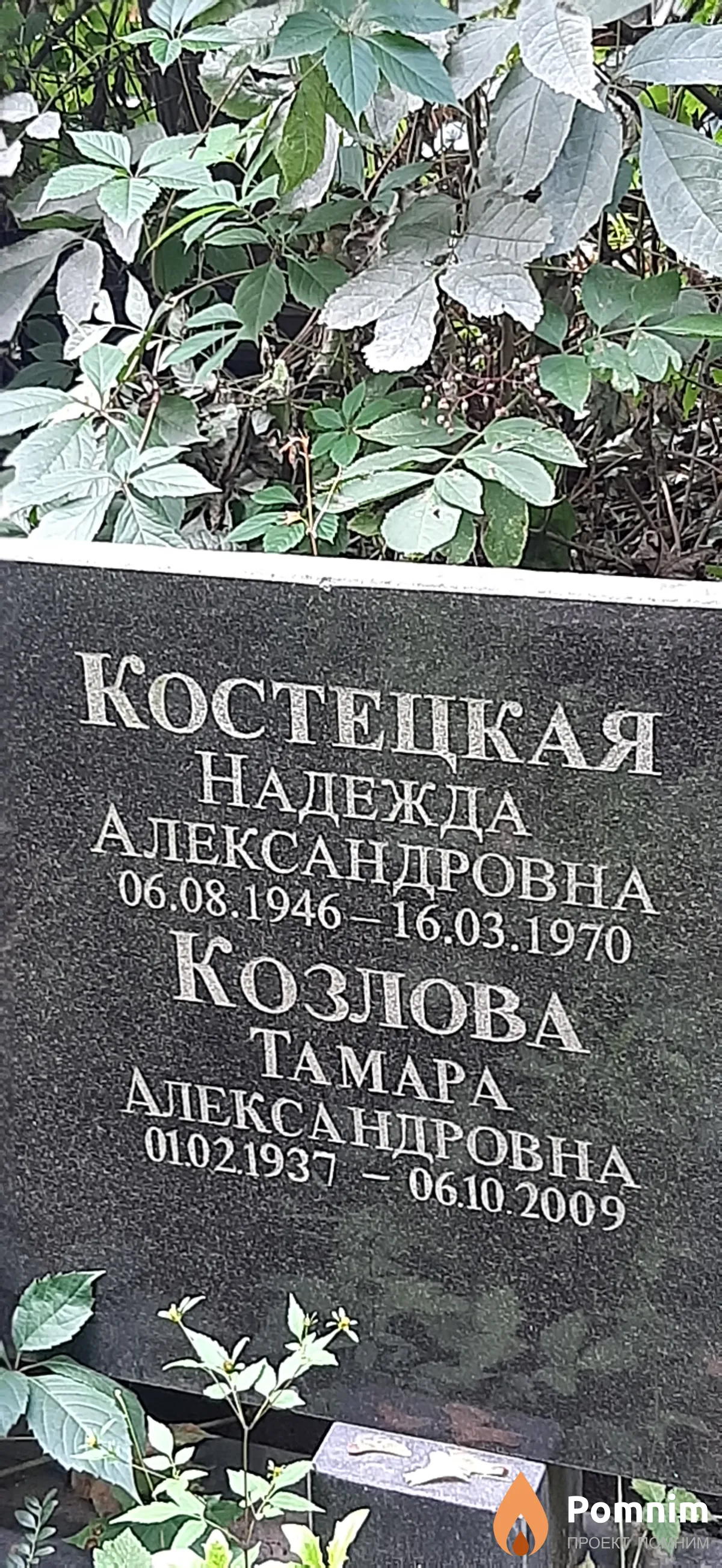 Костецкая Надежда Александровна