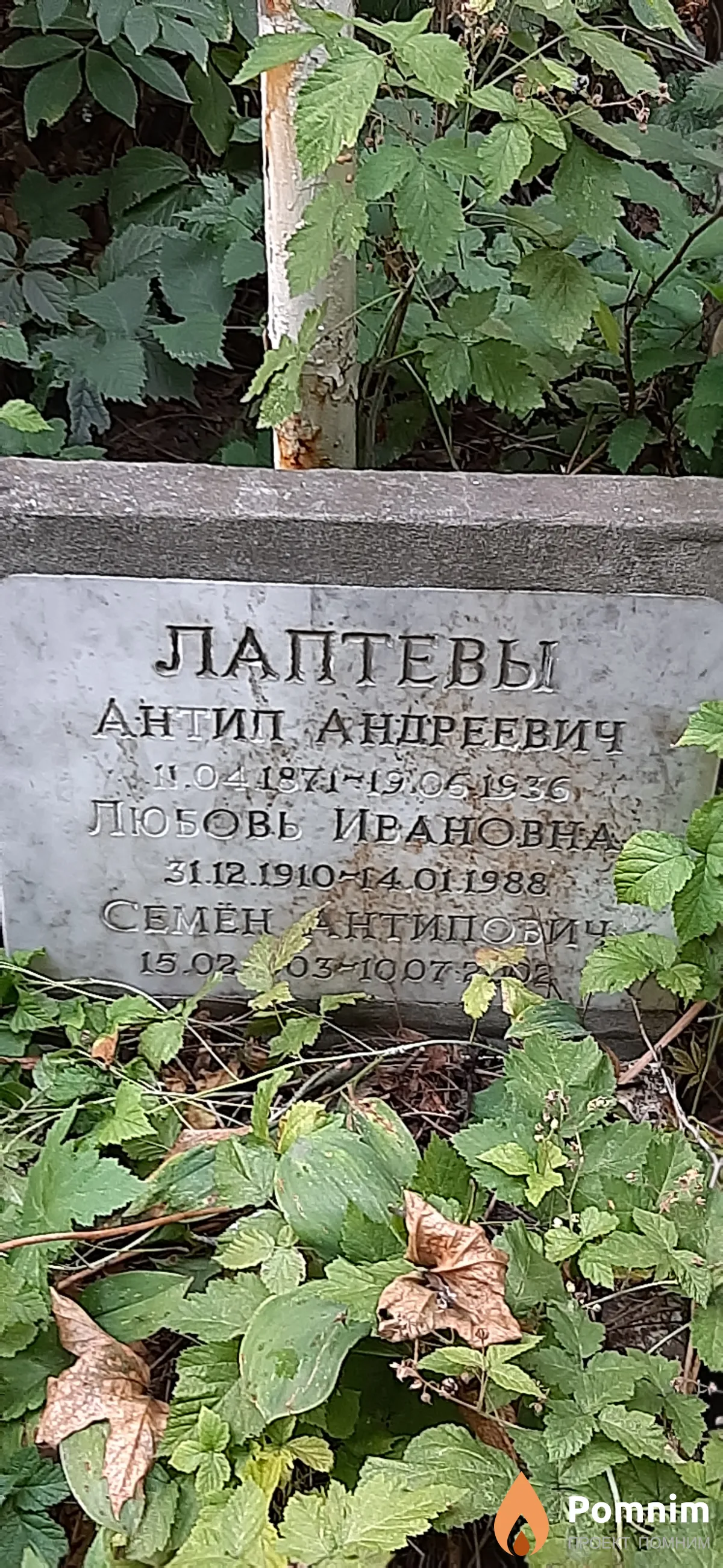 Лаптева Любовь Ивановна