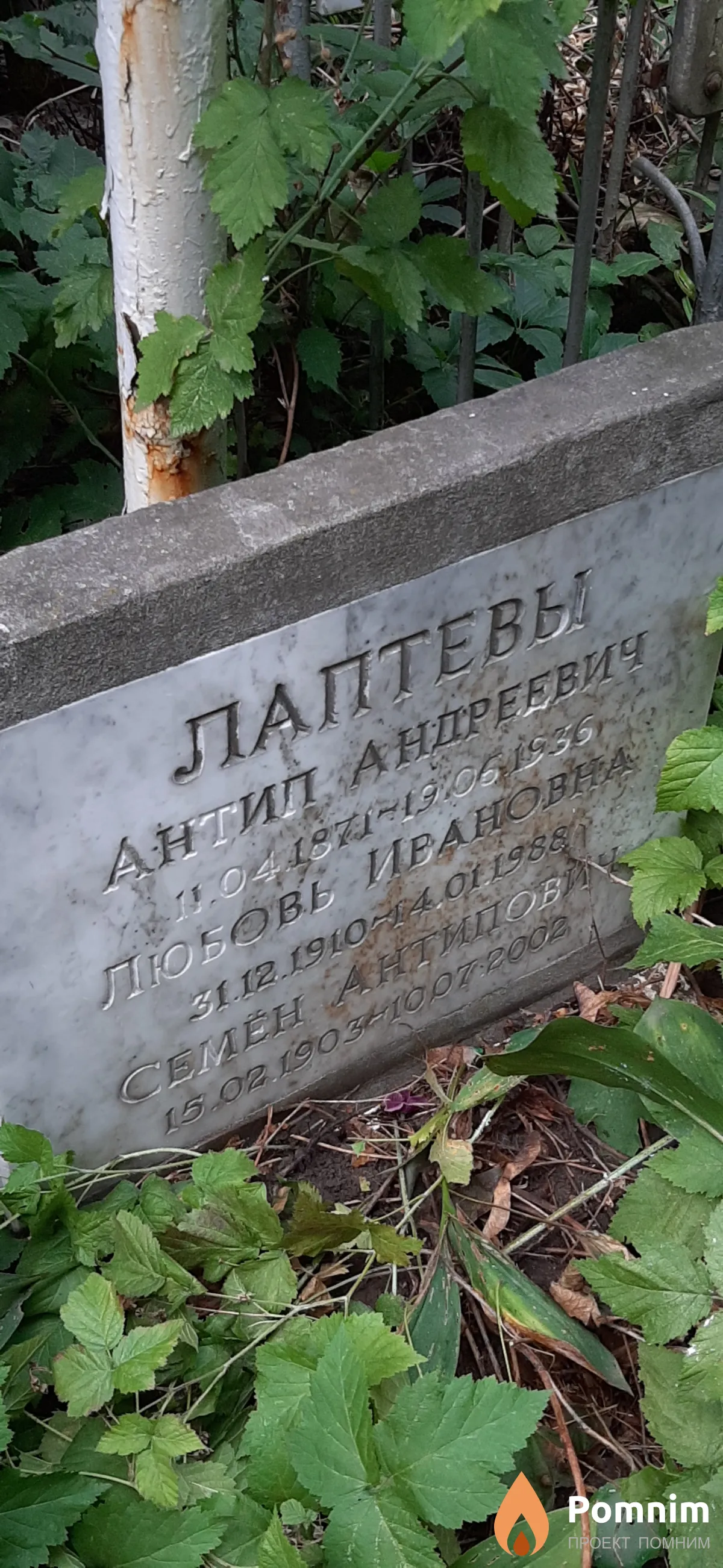 Лаптев Семён Антипович