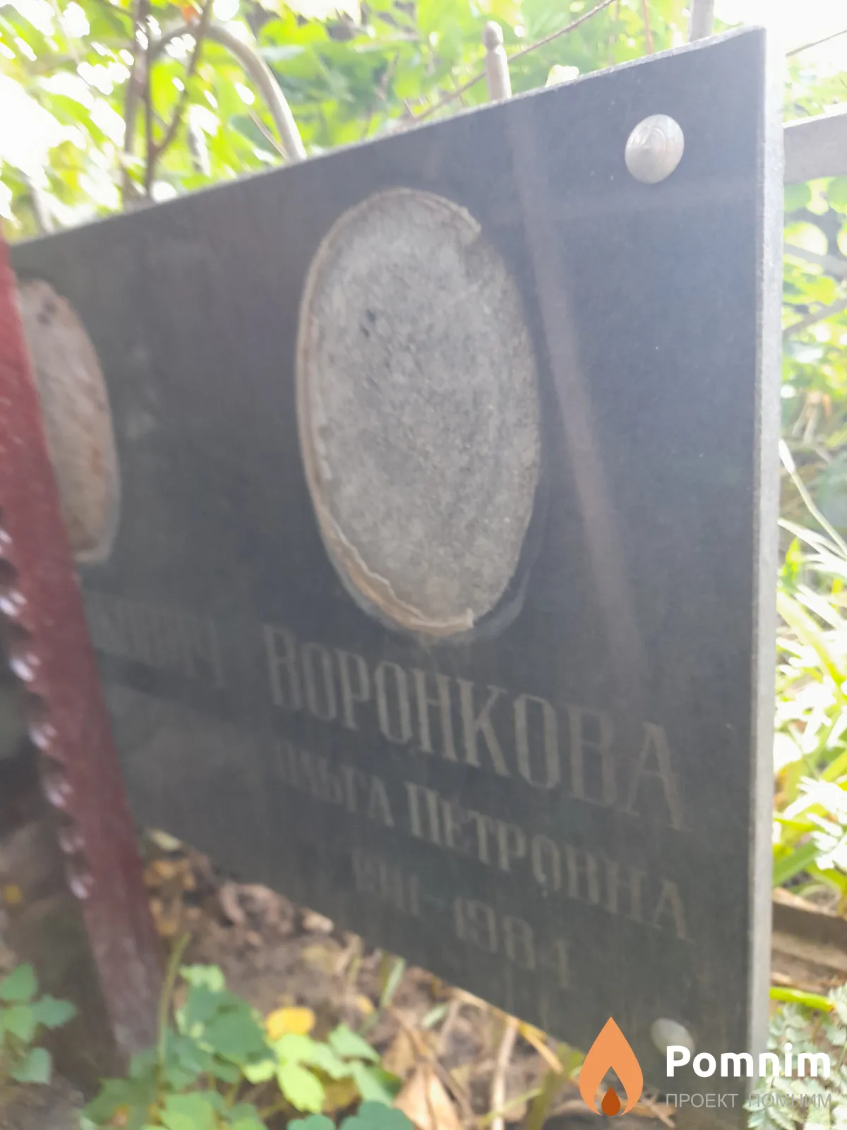 Воронкова Ольга Петровна