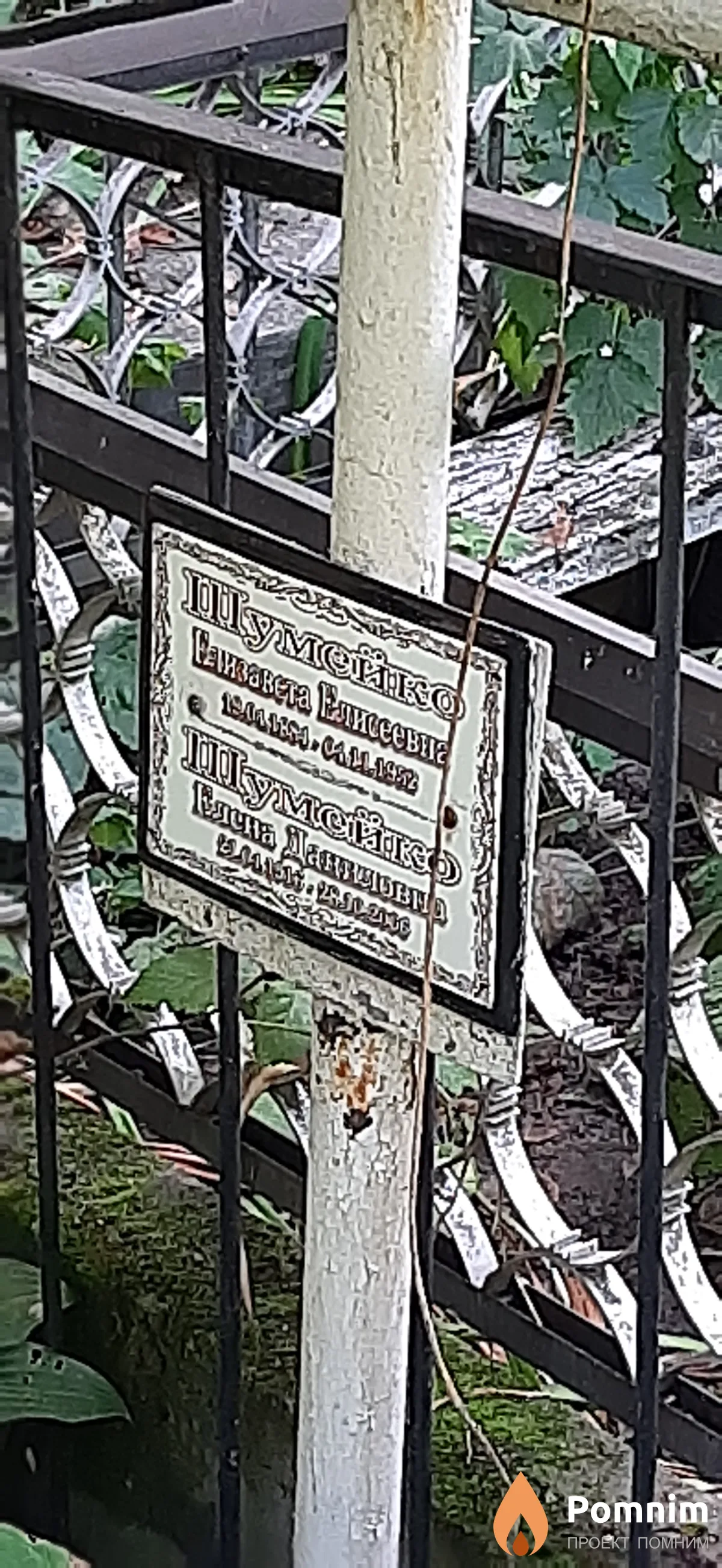 Шумейко Елизавета Елисеевна