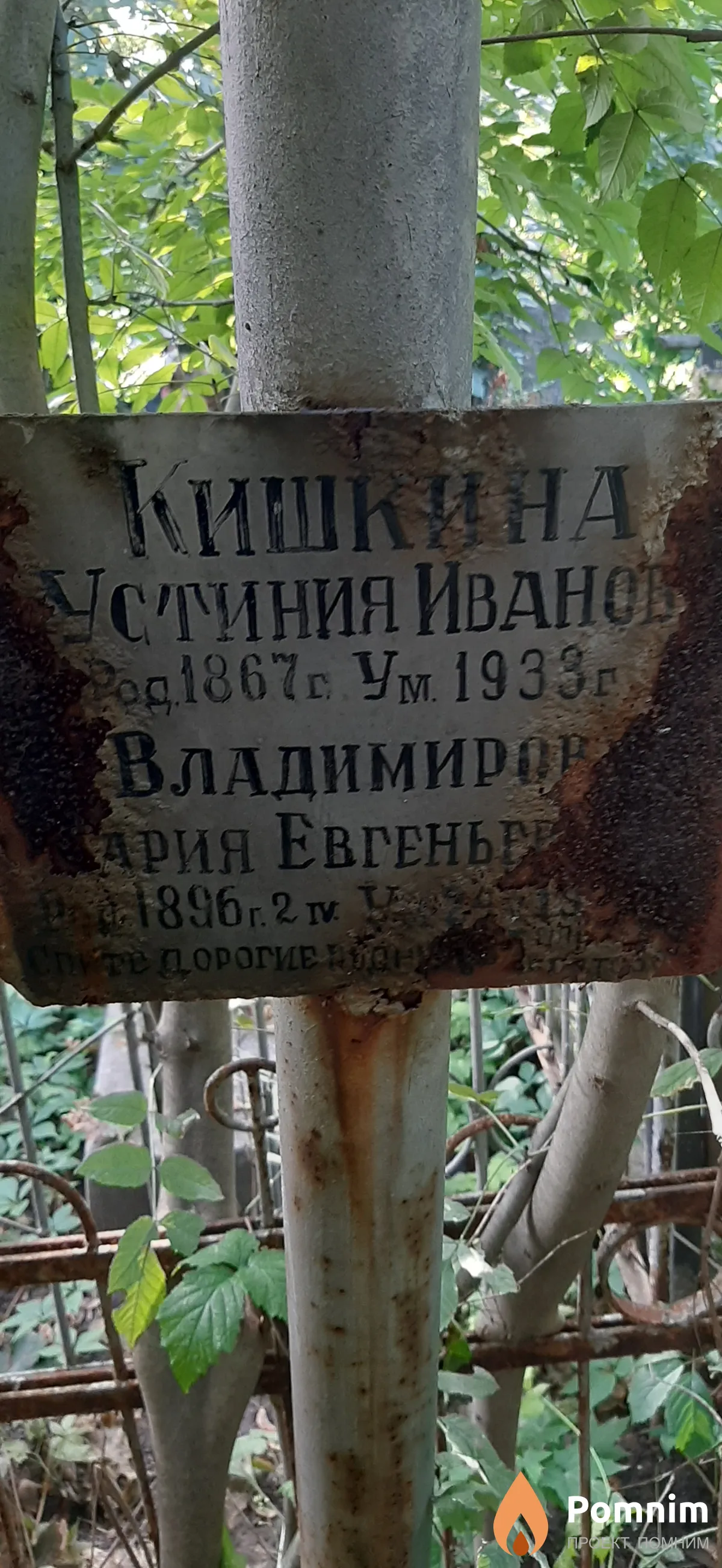 Владимирова Мария Евгеньевна