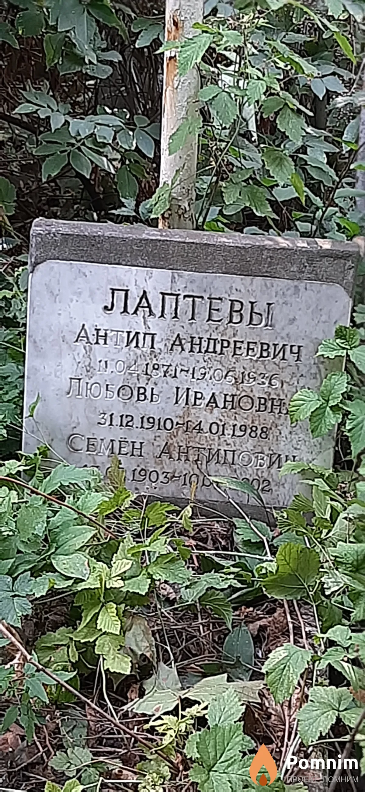 Лаптев Антип Андреевич