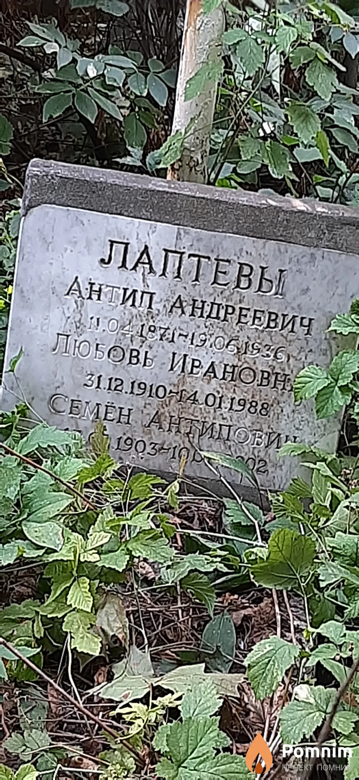 Лаптева Любовь Ирановна