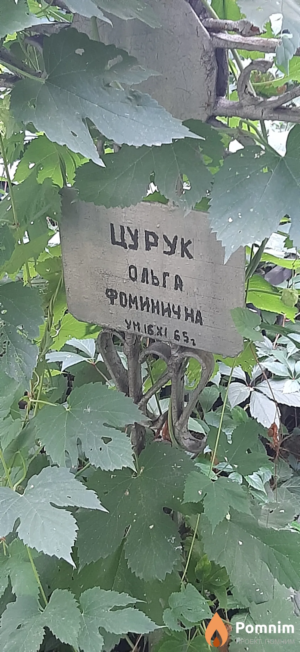 Цурук Ольга Фоминична