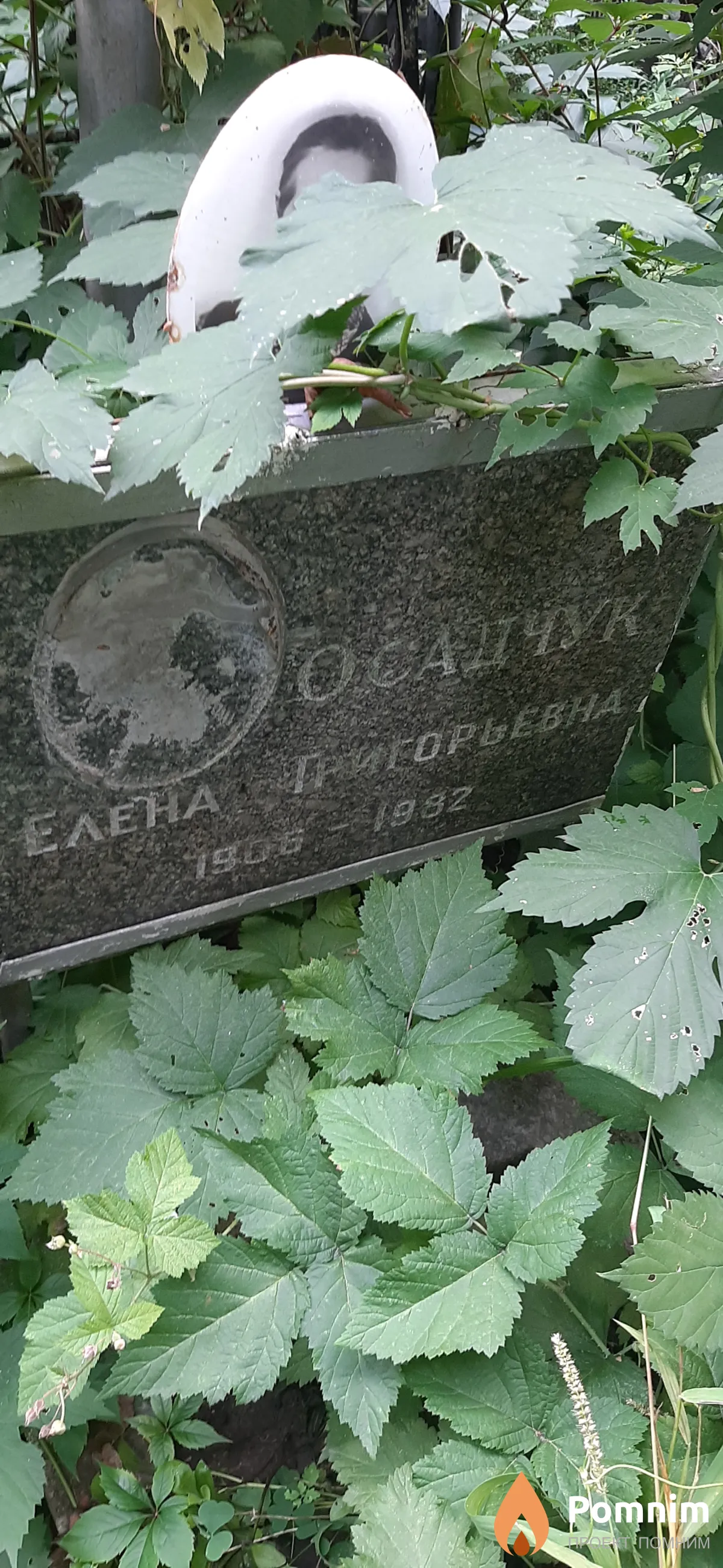 Осадчук Елена Григорьевна