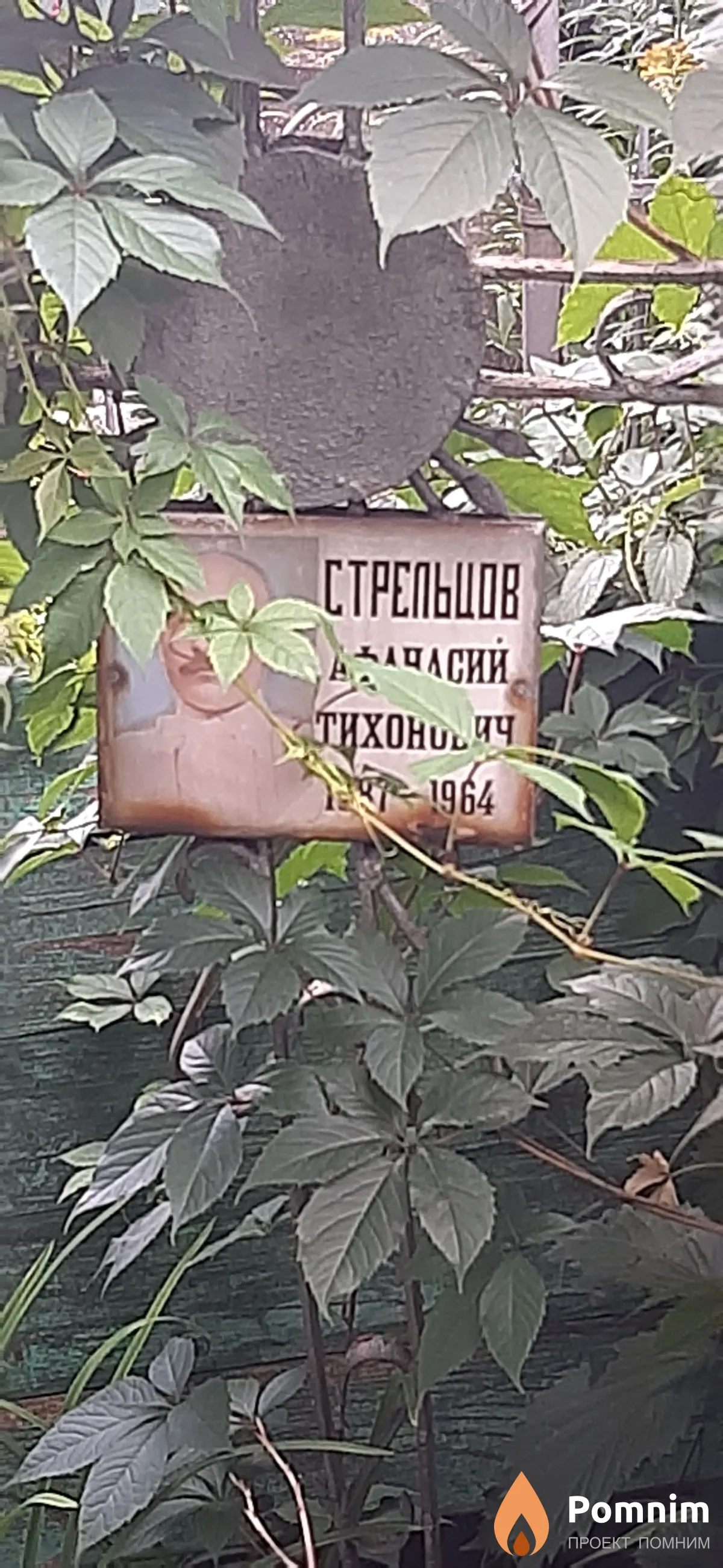 Стрельцов Афанасий Тихонович