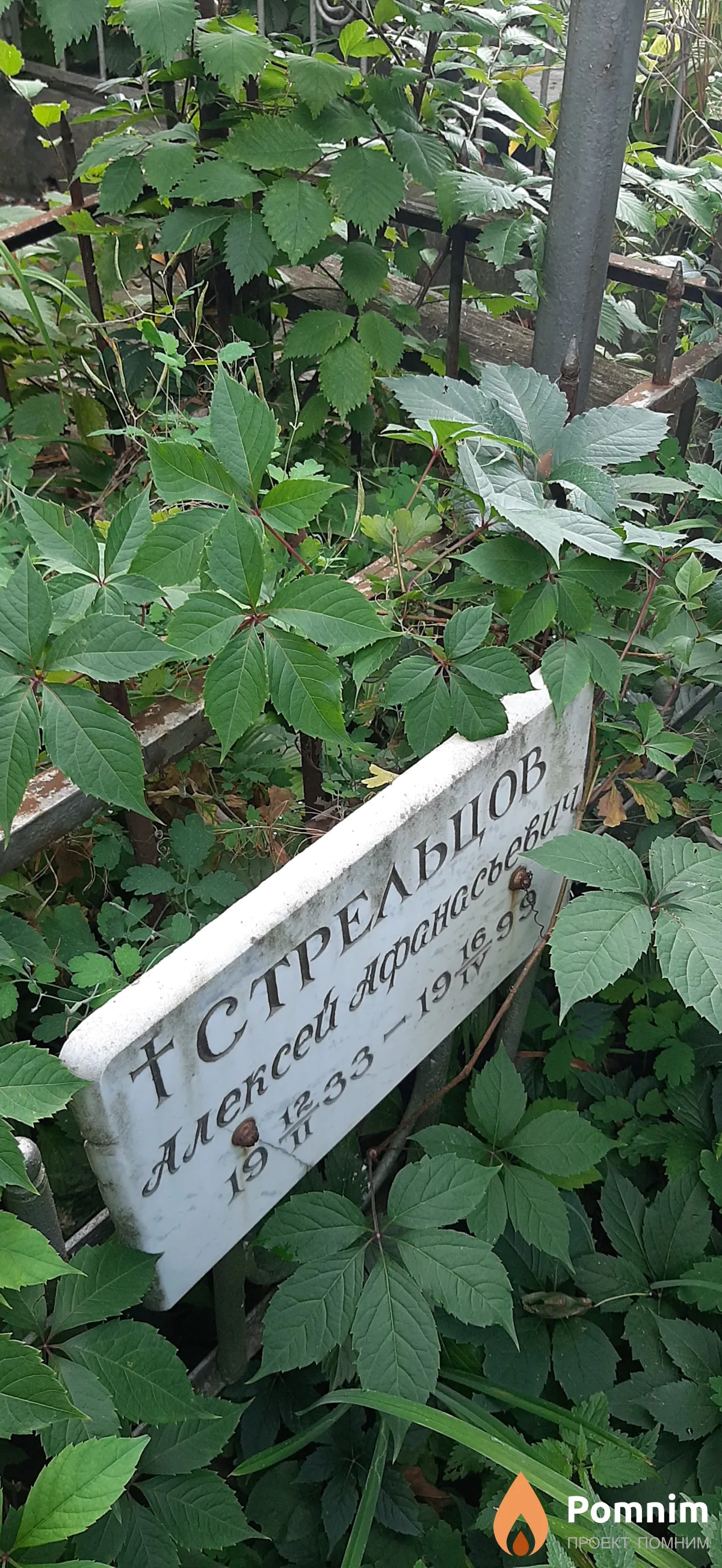 Стрельцов Алексей Афанасьевич