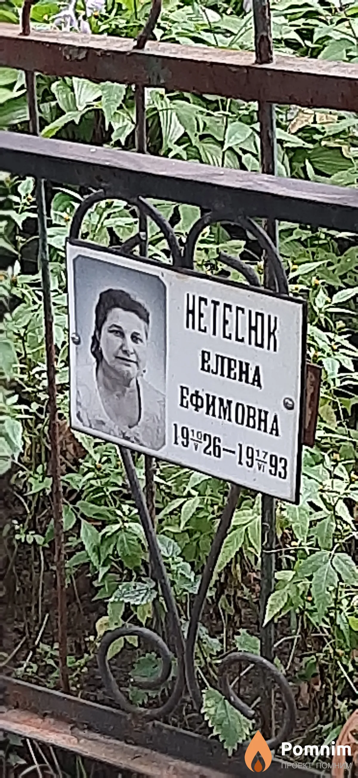 Нетесюк Елена Ефимовна
