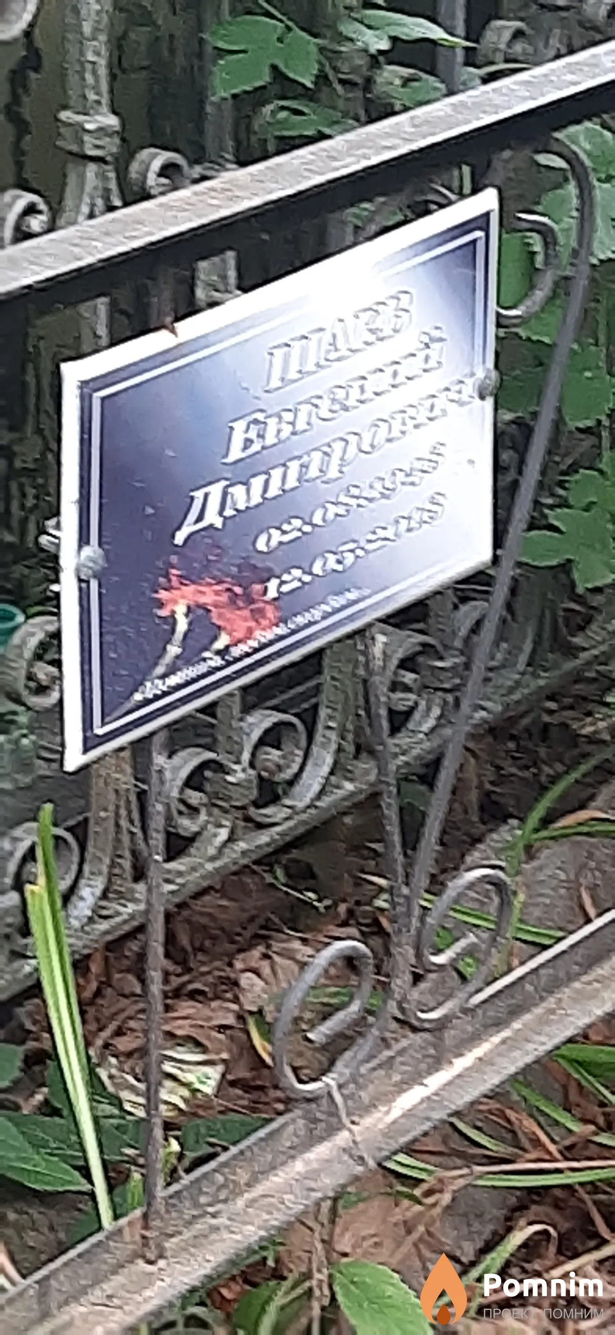 Шаев Евгений Дмитриевич