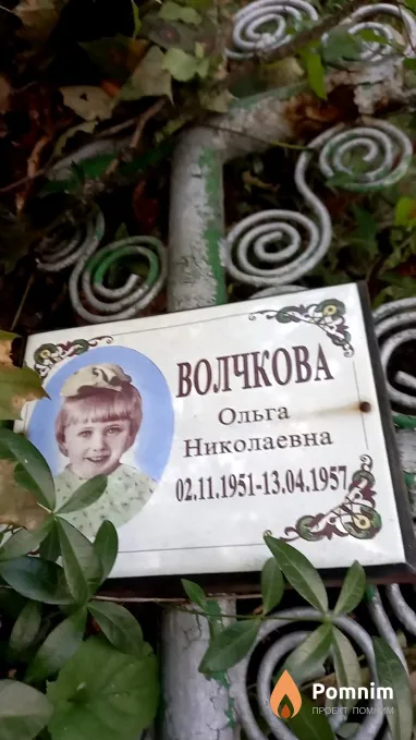 Волчкова Ольга Николаевна