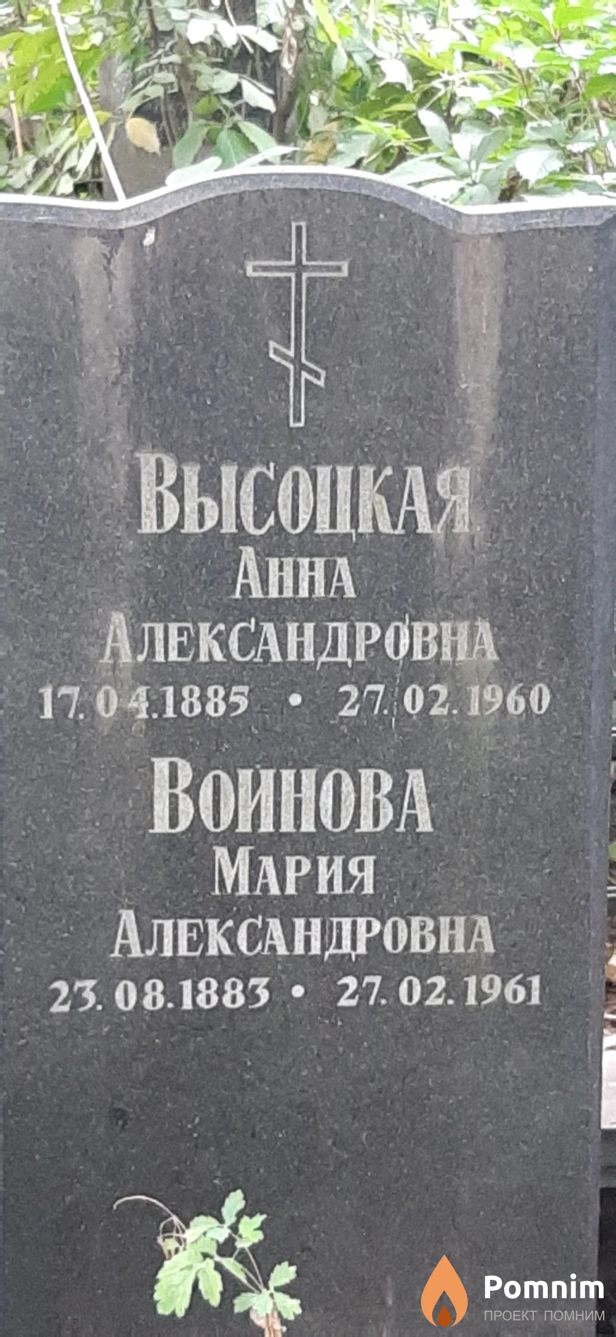 Высоцкая Анна Александровна