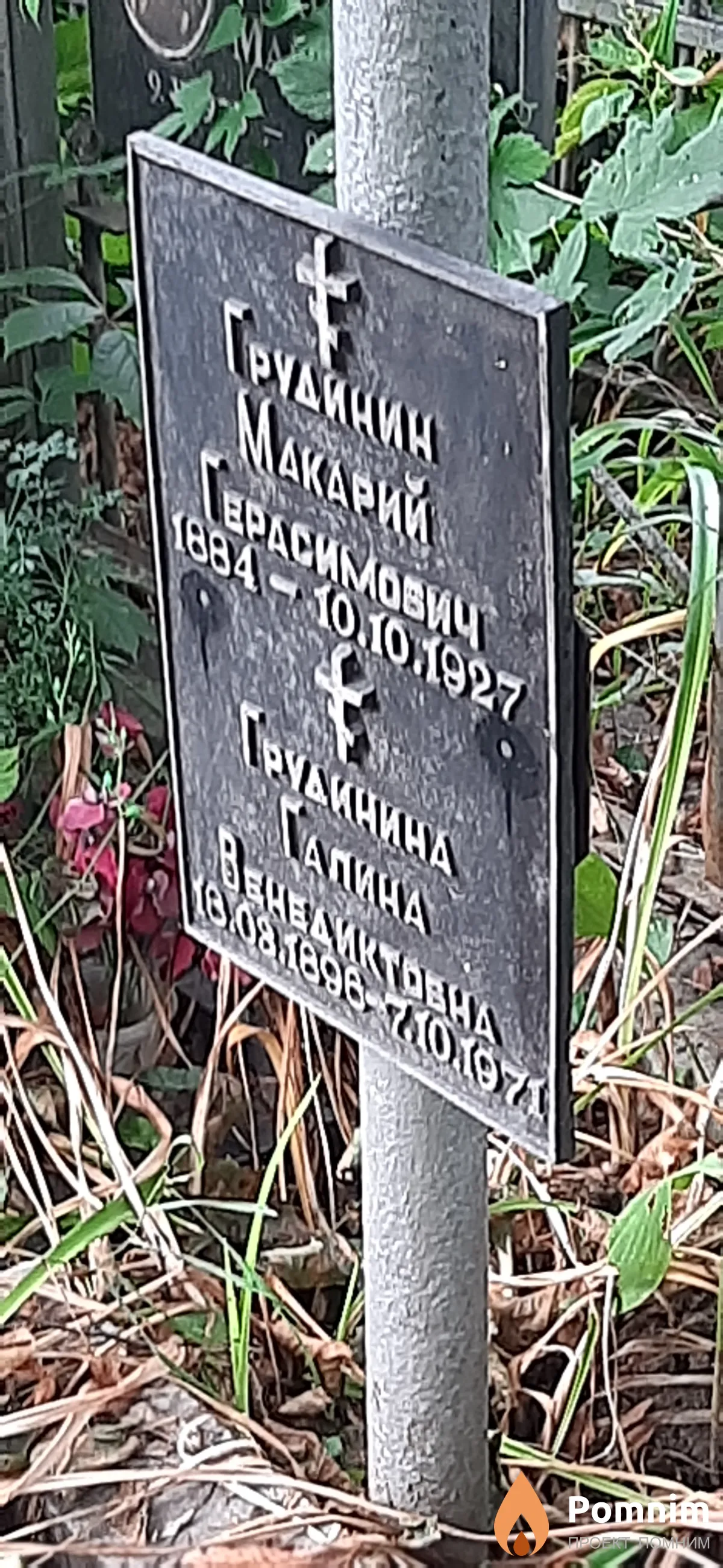 Грудинина Галина Венедиктовна