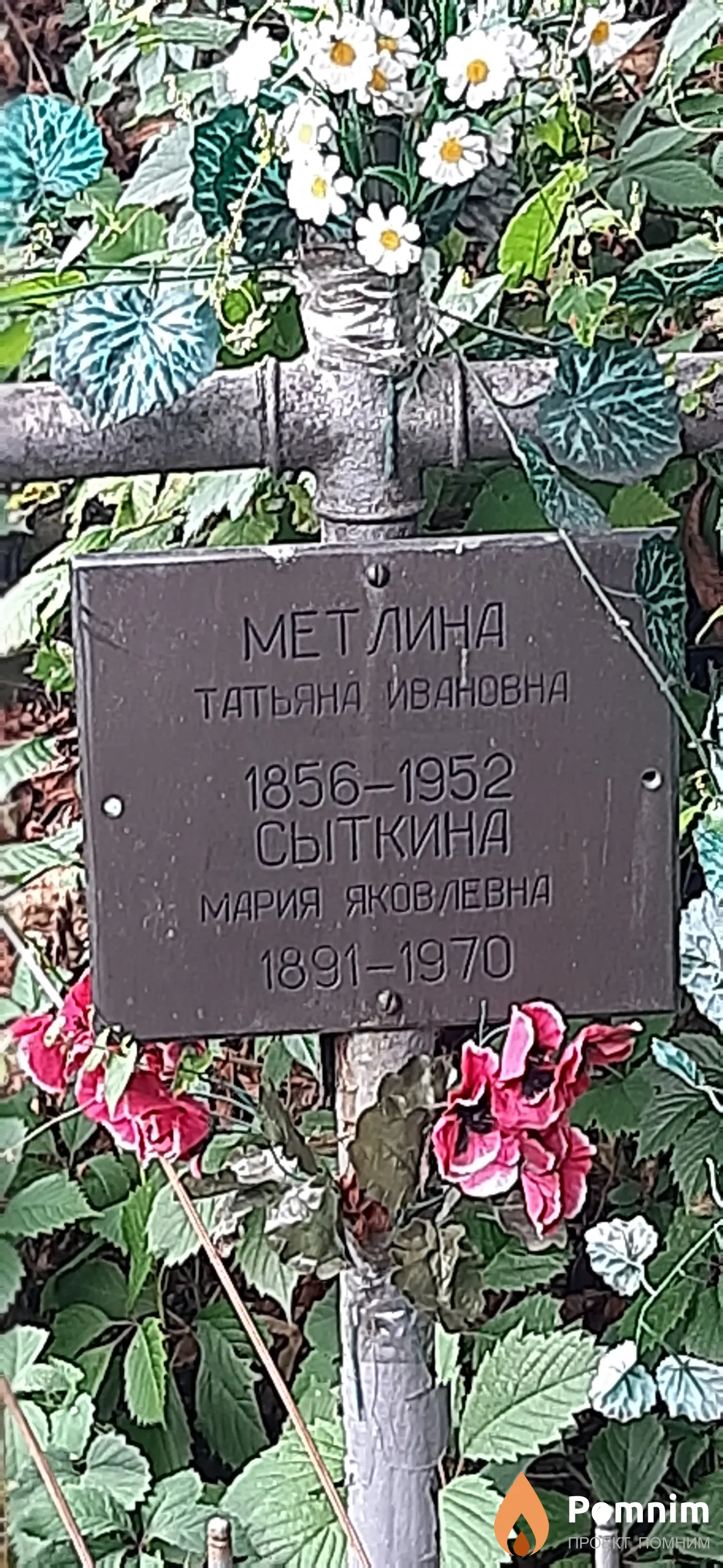Метлина Татьяна Ивановна