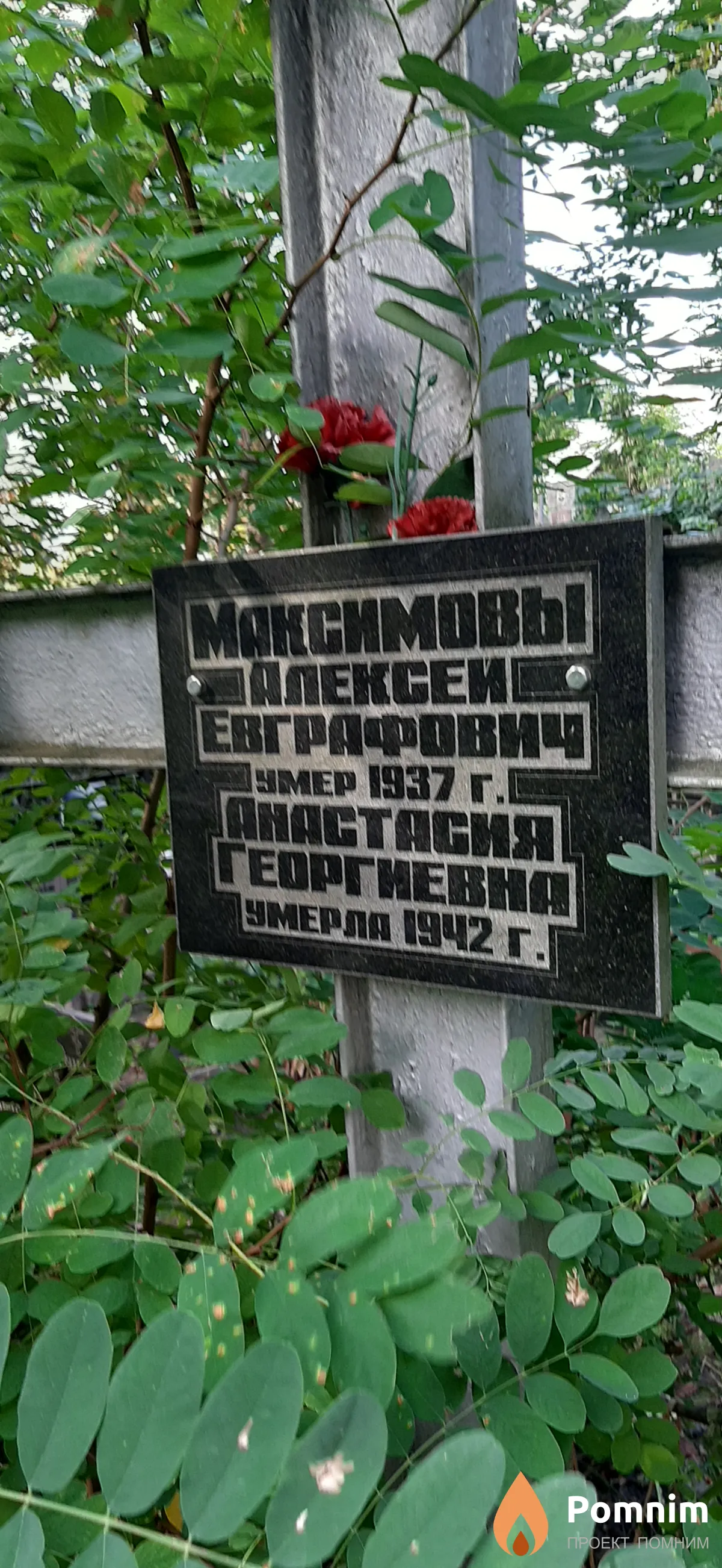 Максимов Алексей Евграфович