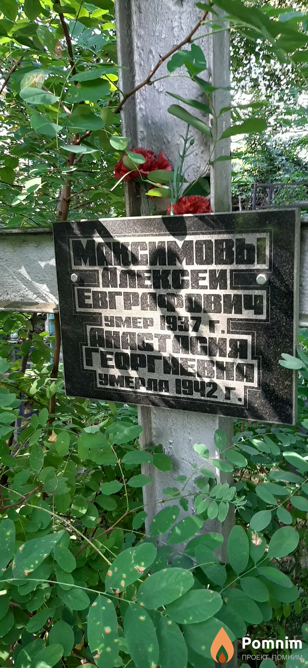 Максимова Анастасия Георгиевна