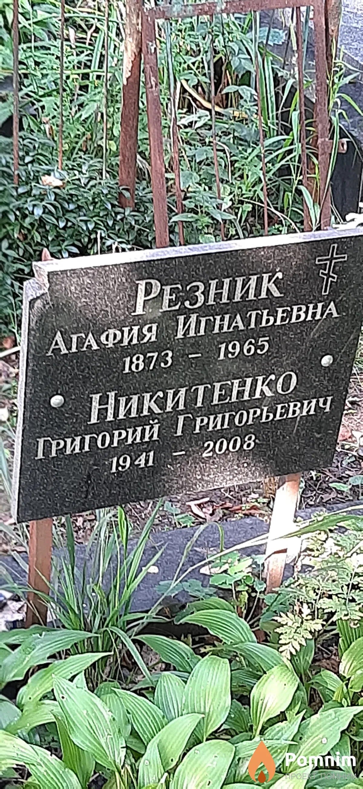 Никитенко Григорий Григорьевич