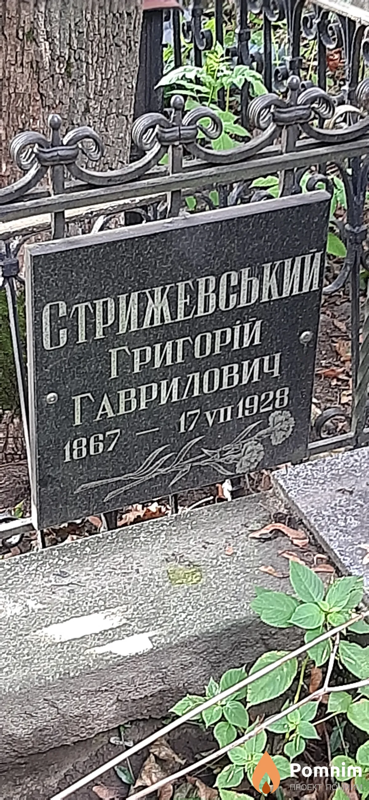 Стрижевський Григорий Гаврилович