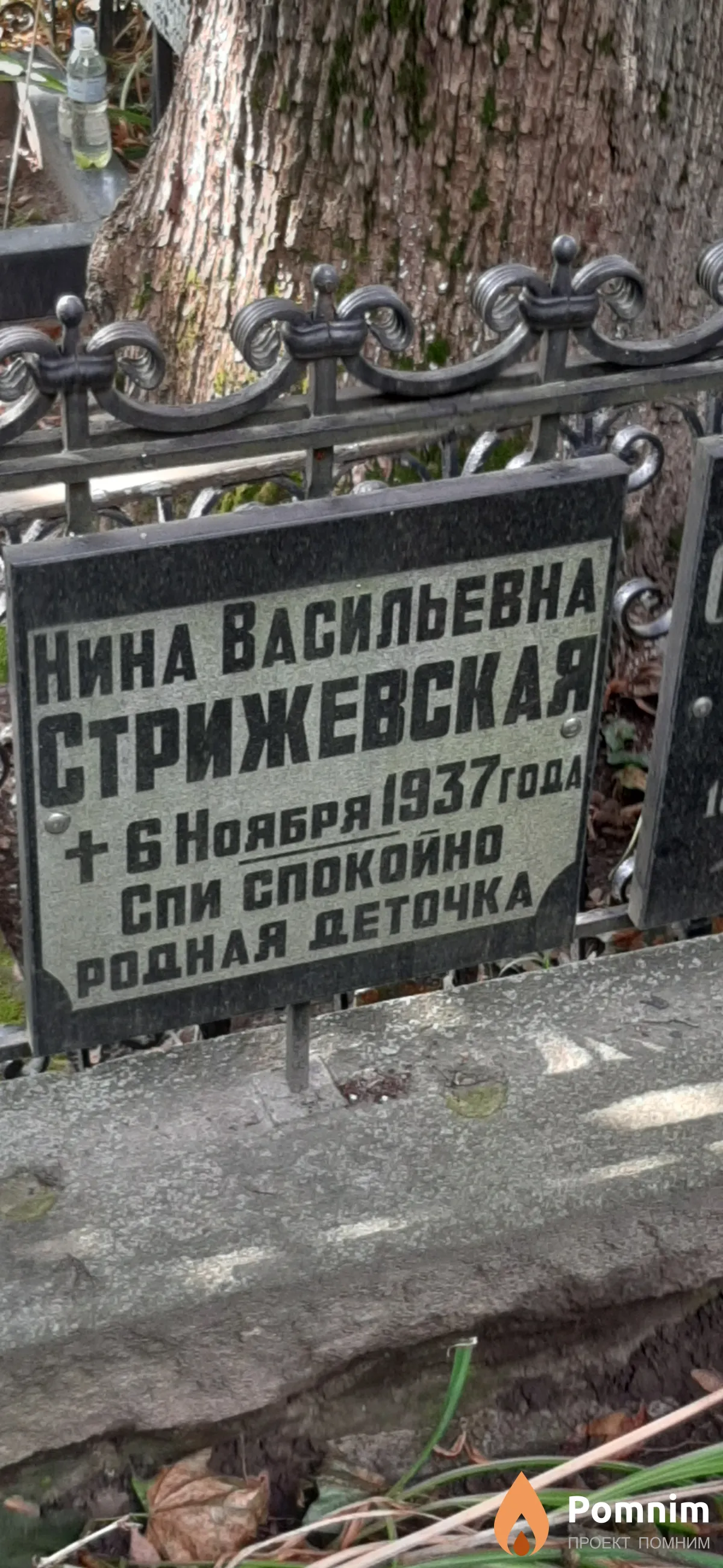 Стрижевская Нина Васильевна