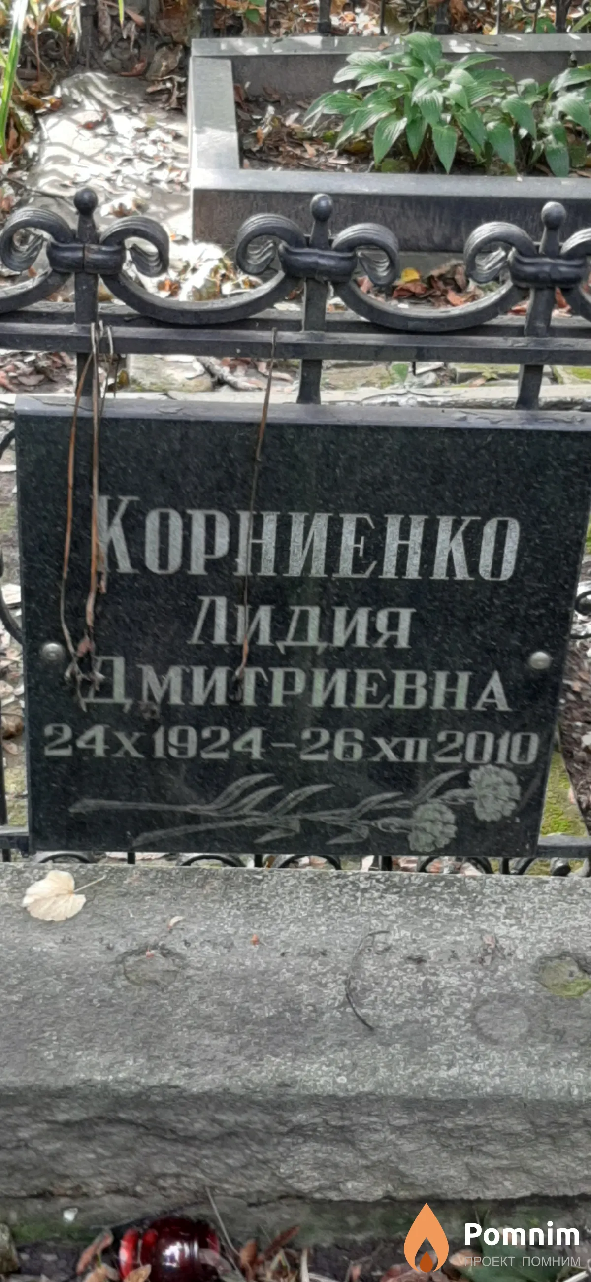 Корниенко Лидия Дмитриевна