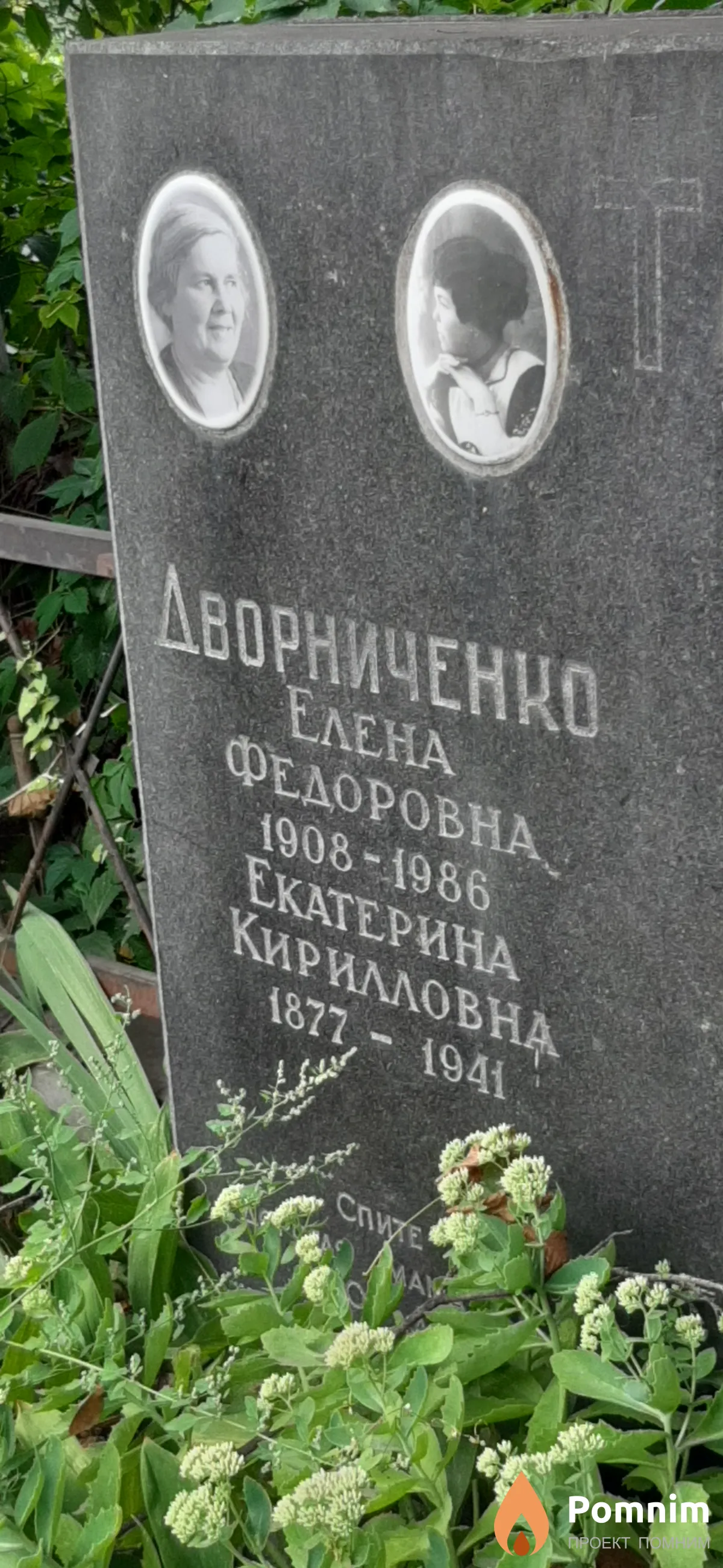 Дворниченко Елена Федоровна
