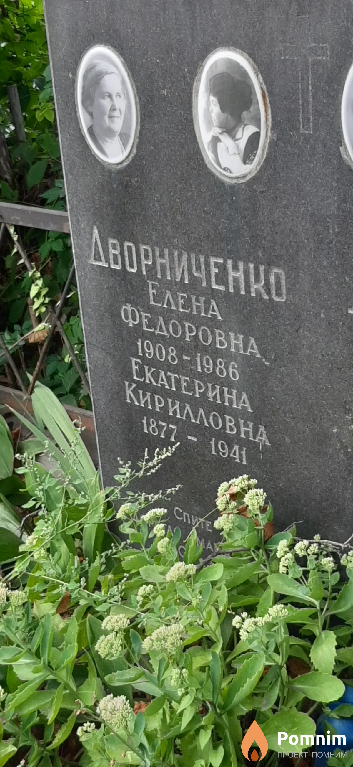 Дворниченко Екатерина Кирилловна