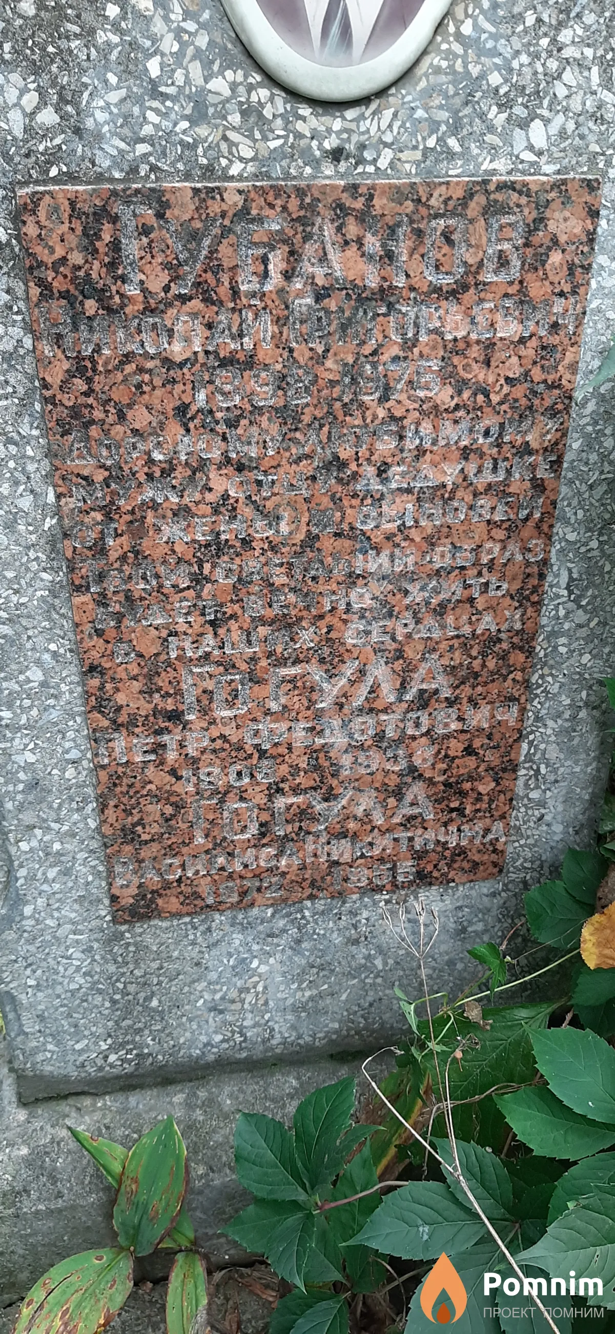 Гогула Василиса Никитична