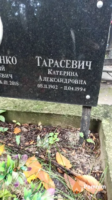Тарасевич Катерина Александровна