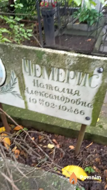 Чемерис Наталия Александровна